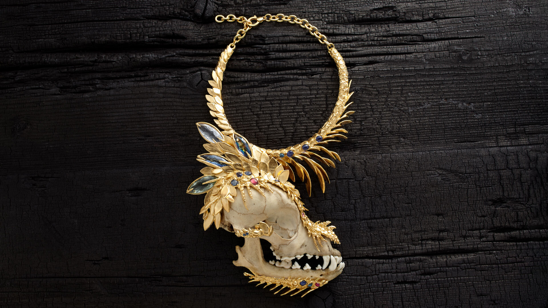 Jewellery from a Wunderkammer