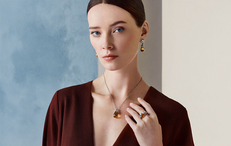 Discover the Collection