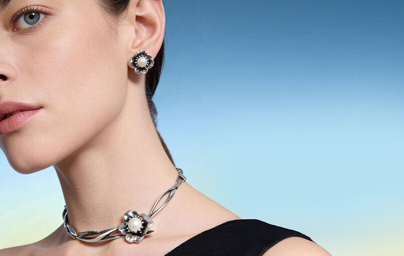 Discover the Collection