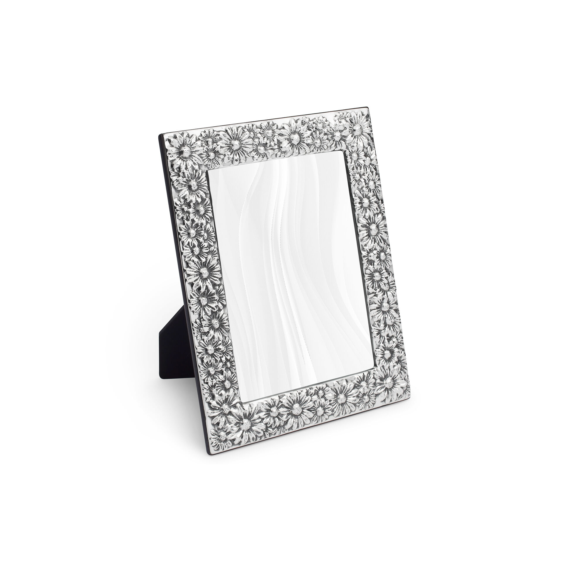 Daisies Frame image number 1