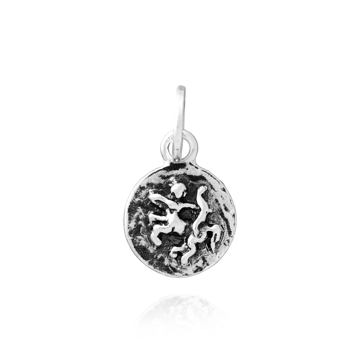 Charm Sagittaire Zodiaque