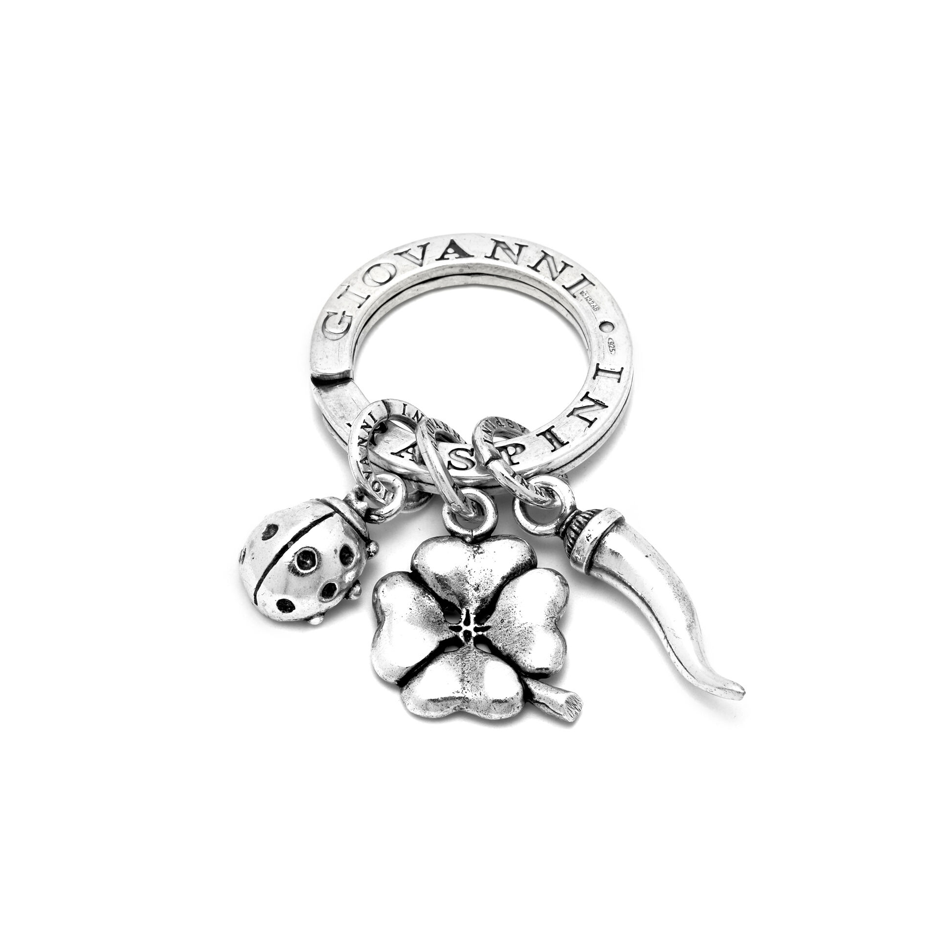 Good Luck Key Ring image number 0