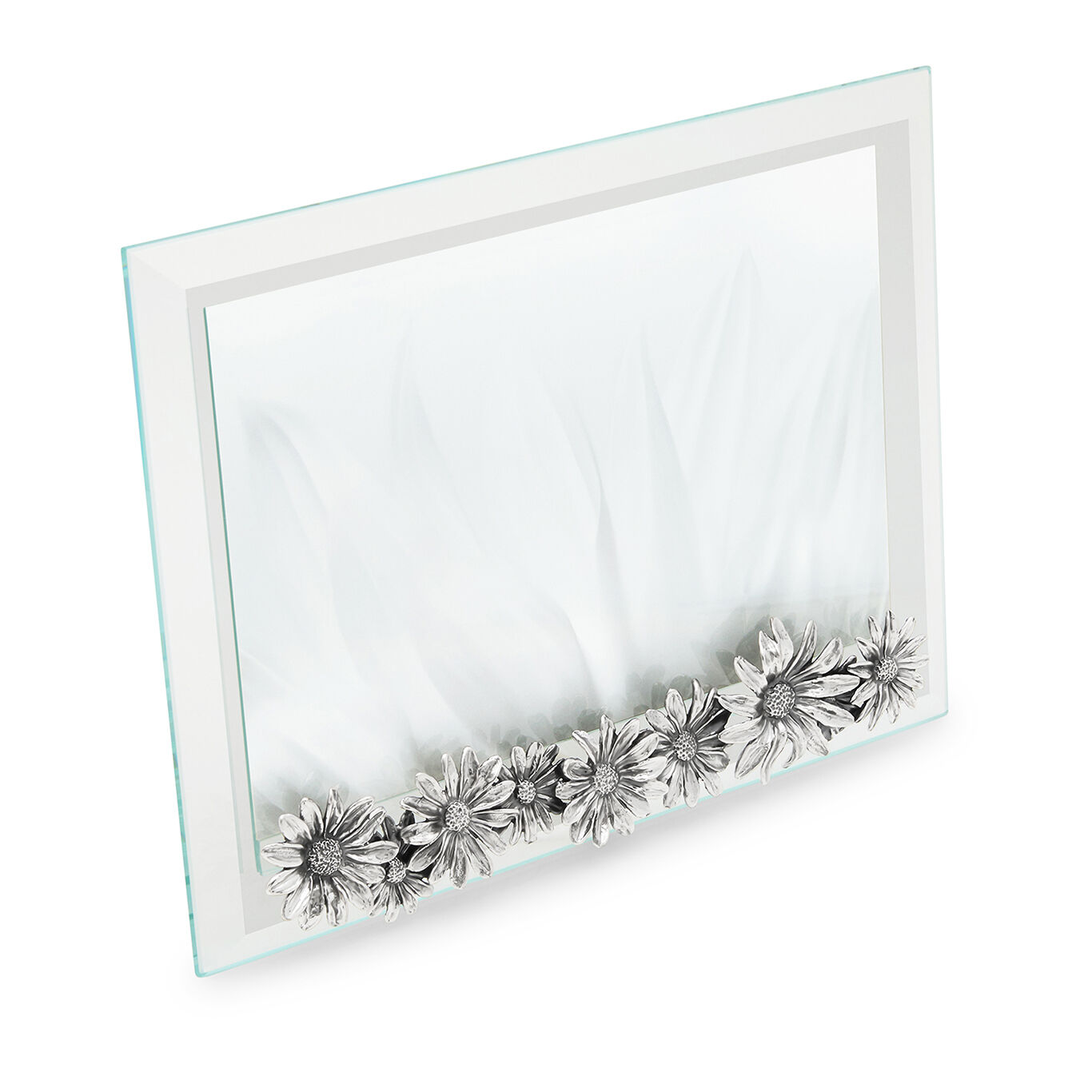 Daisies Large Horizontal Light Frame