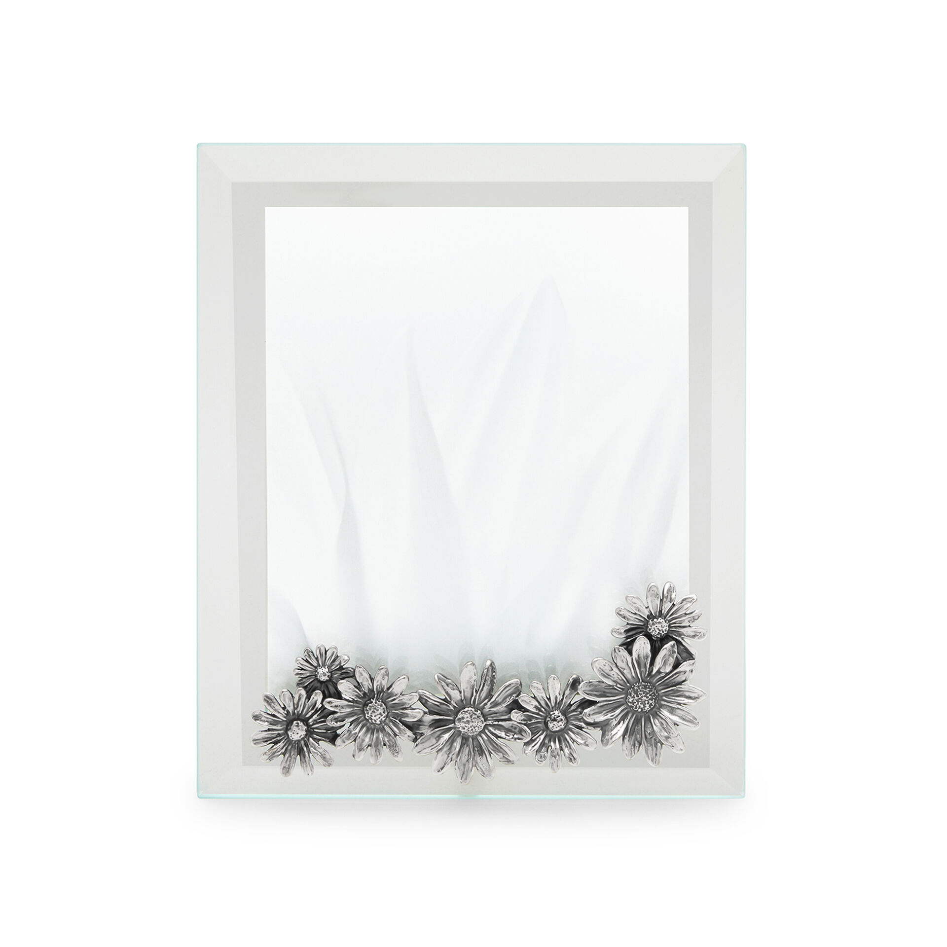 Daisies Large Light Frame image number 1