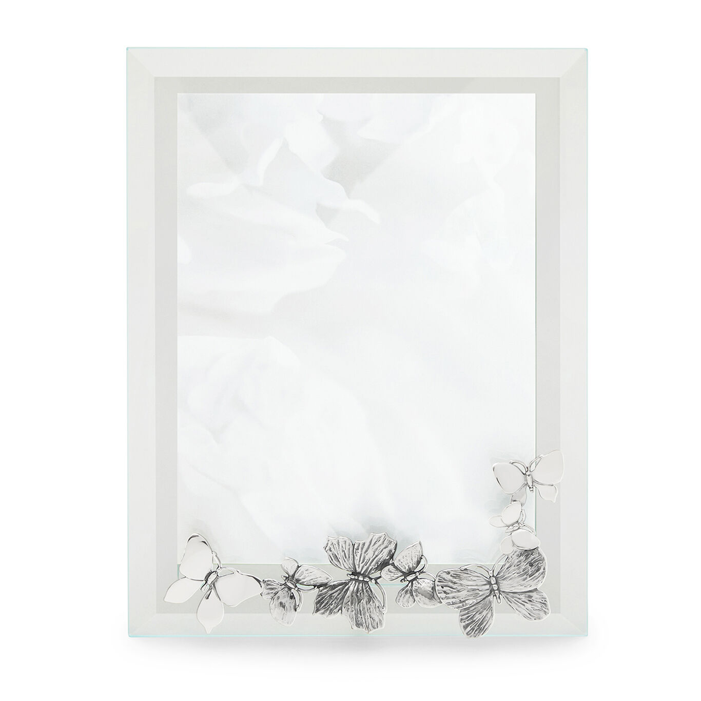 Butterflies Large Light Frame