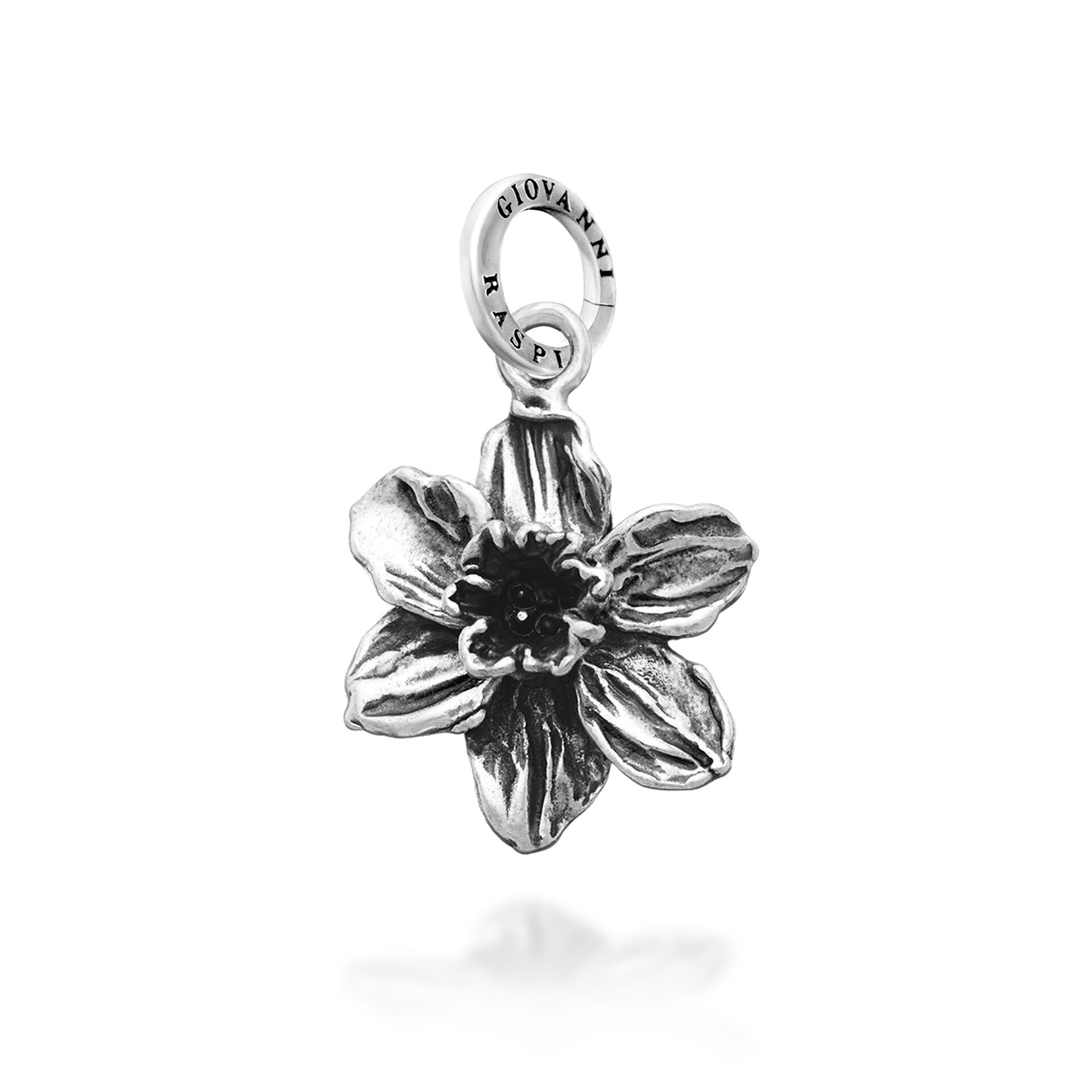 Charm Narciso image number 0