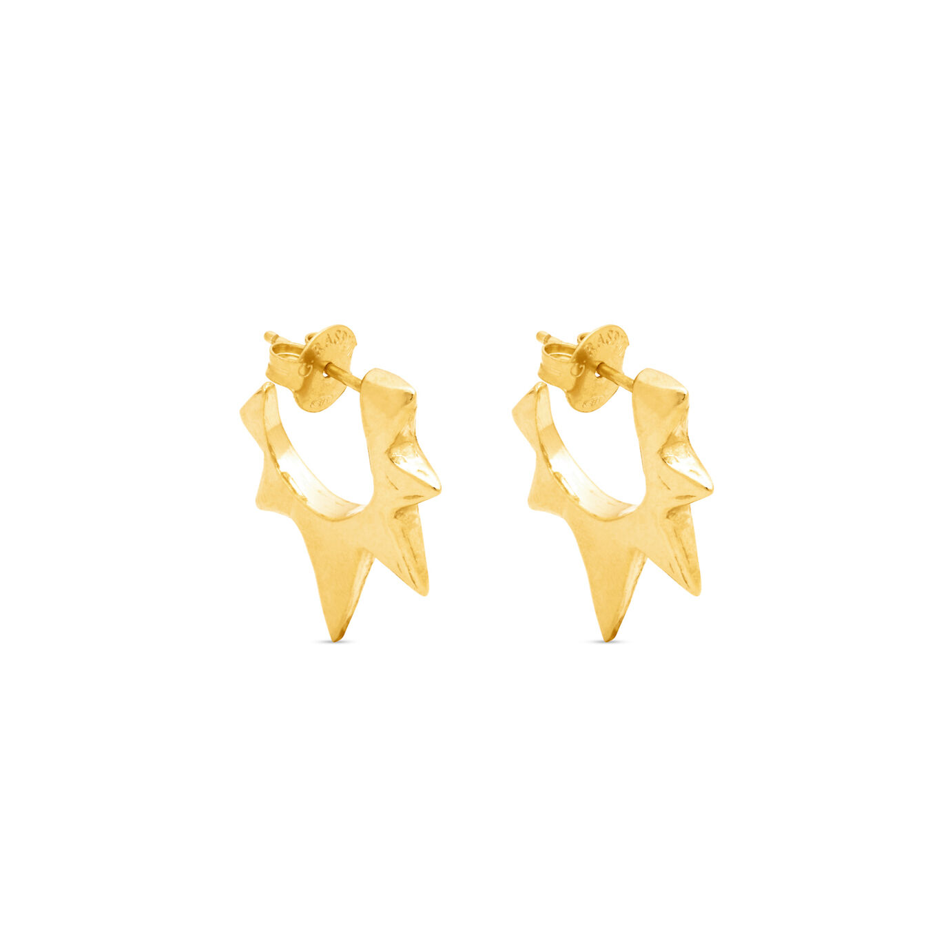 Petites Boucles D'Oreilles Rockstar