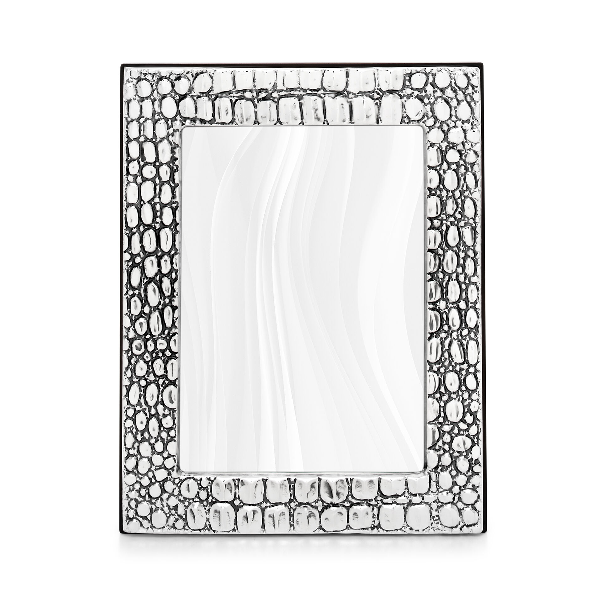 Crocodile Big Frame image number 1