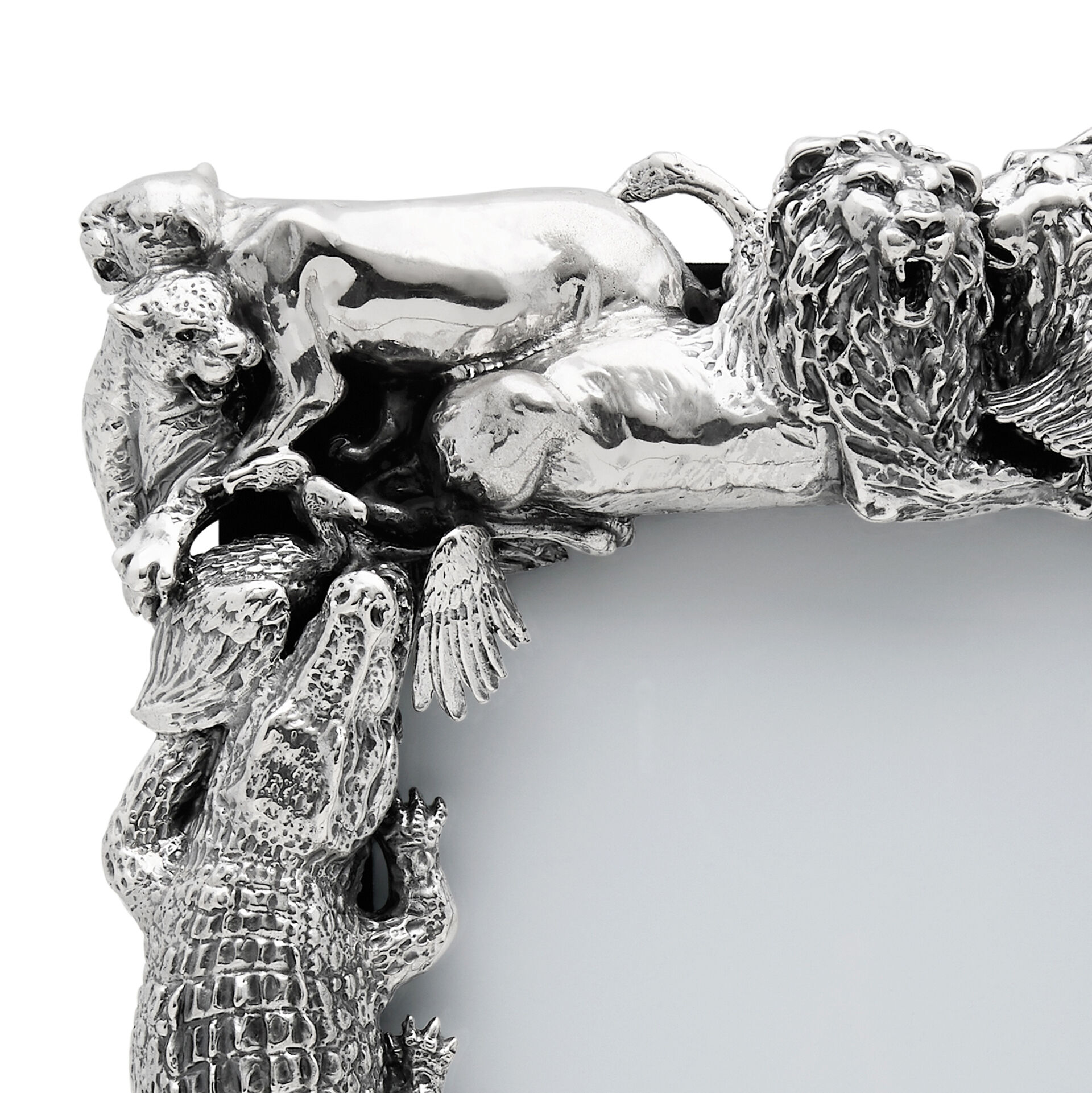 Animalier Frame image number 3