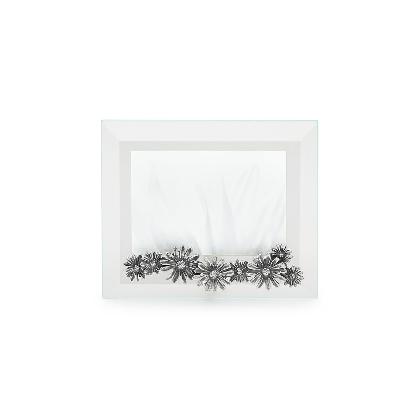 Daisies Small Horizontal Light Frame