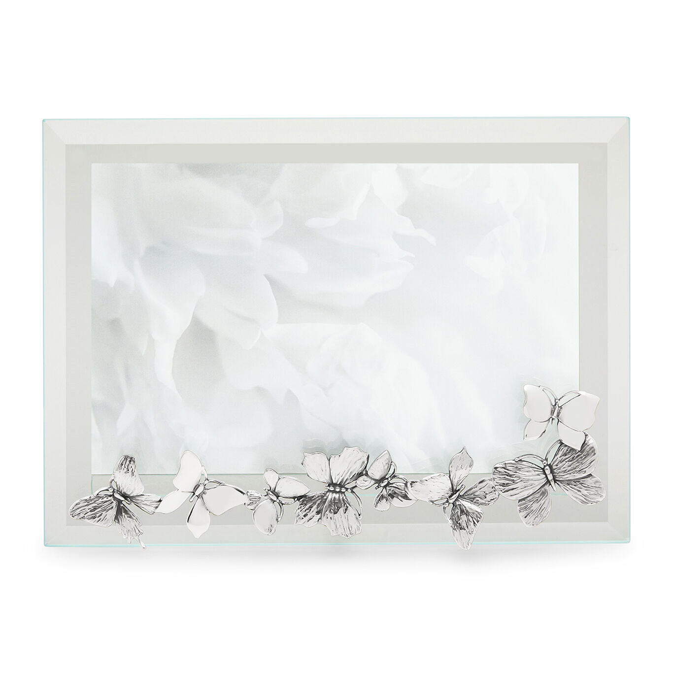 Butterflies Small Horizontal Light Frame, Bevelled glass and silver frame_image number 2_Giovanni Raspini