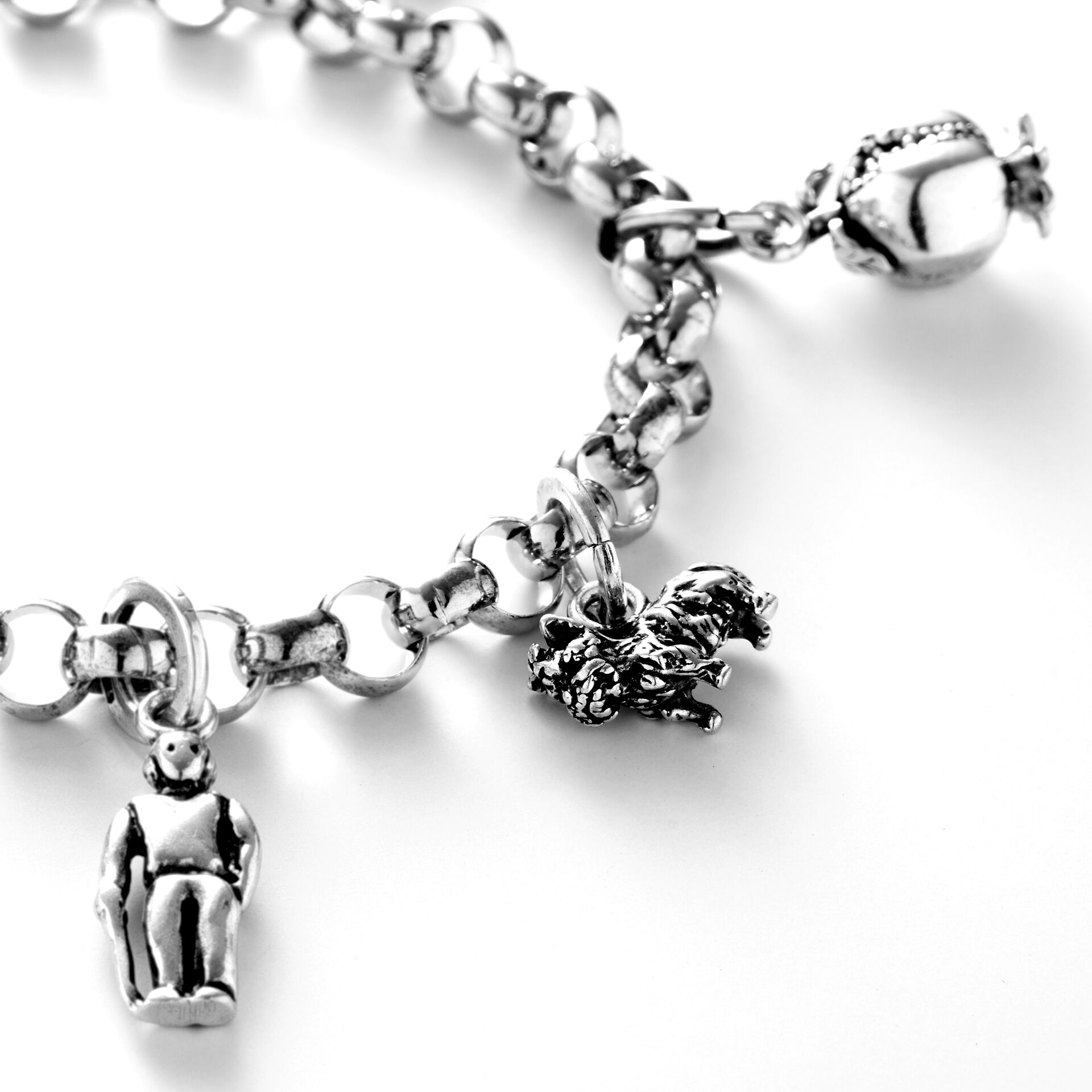 Yorkshire Terrier Charm image number 1