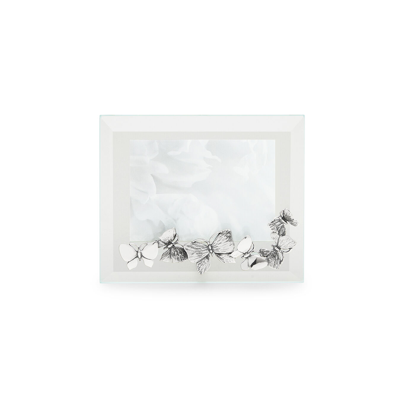 Butterflies Medium Horizontal Light Frame, Bevelled glass and silver frame_image number 0_Giovanni Raspini