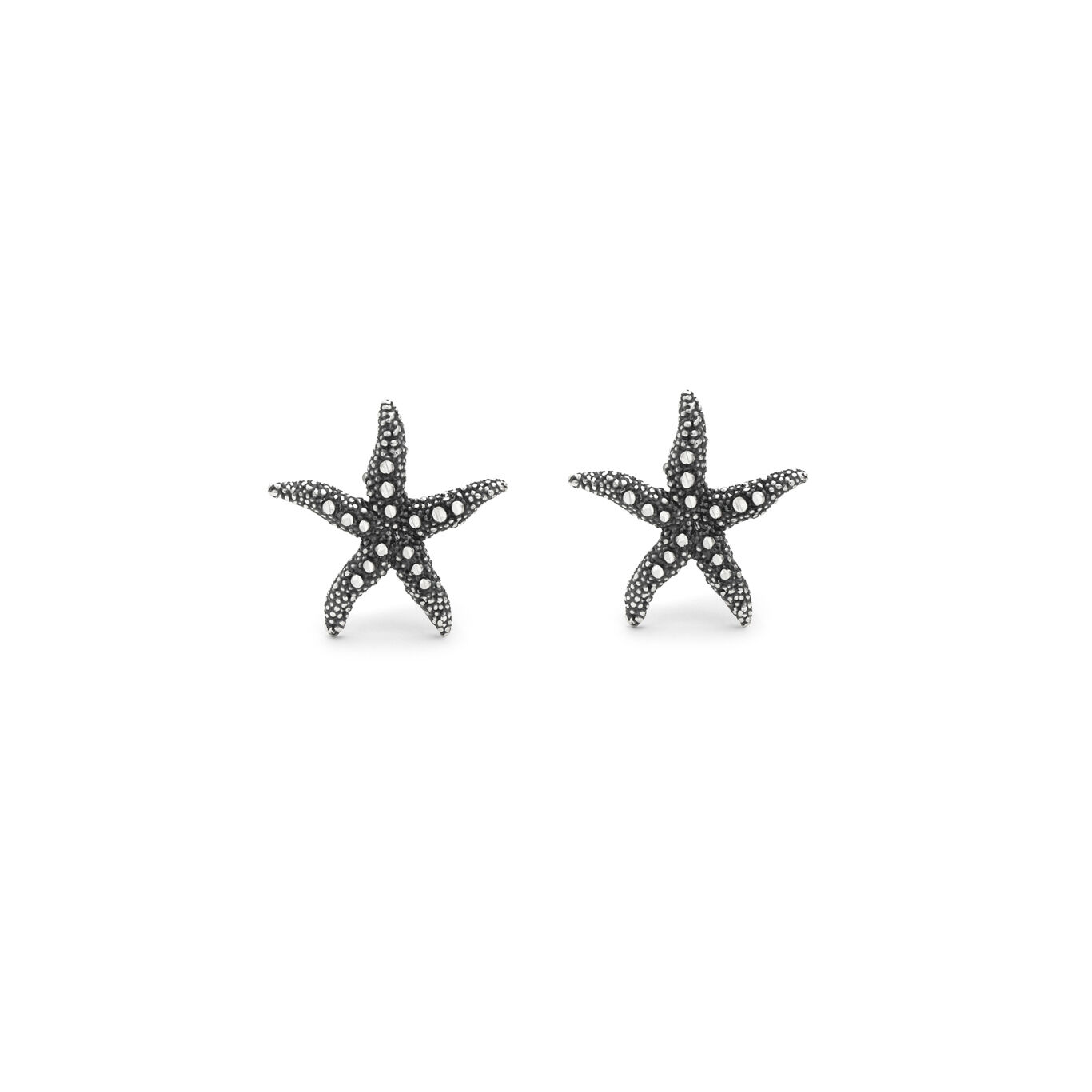 Boucles d'oreilles &Eacute;toile de mer Shine, petit mod&egrave;le