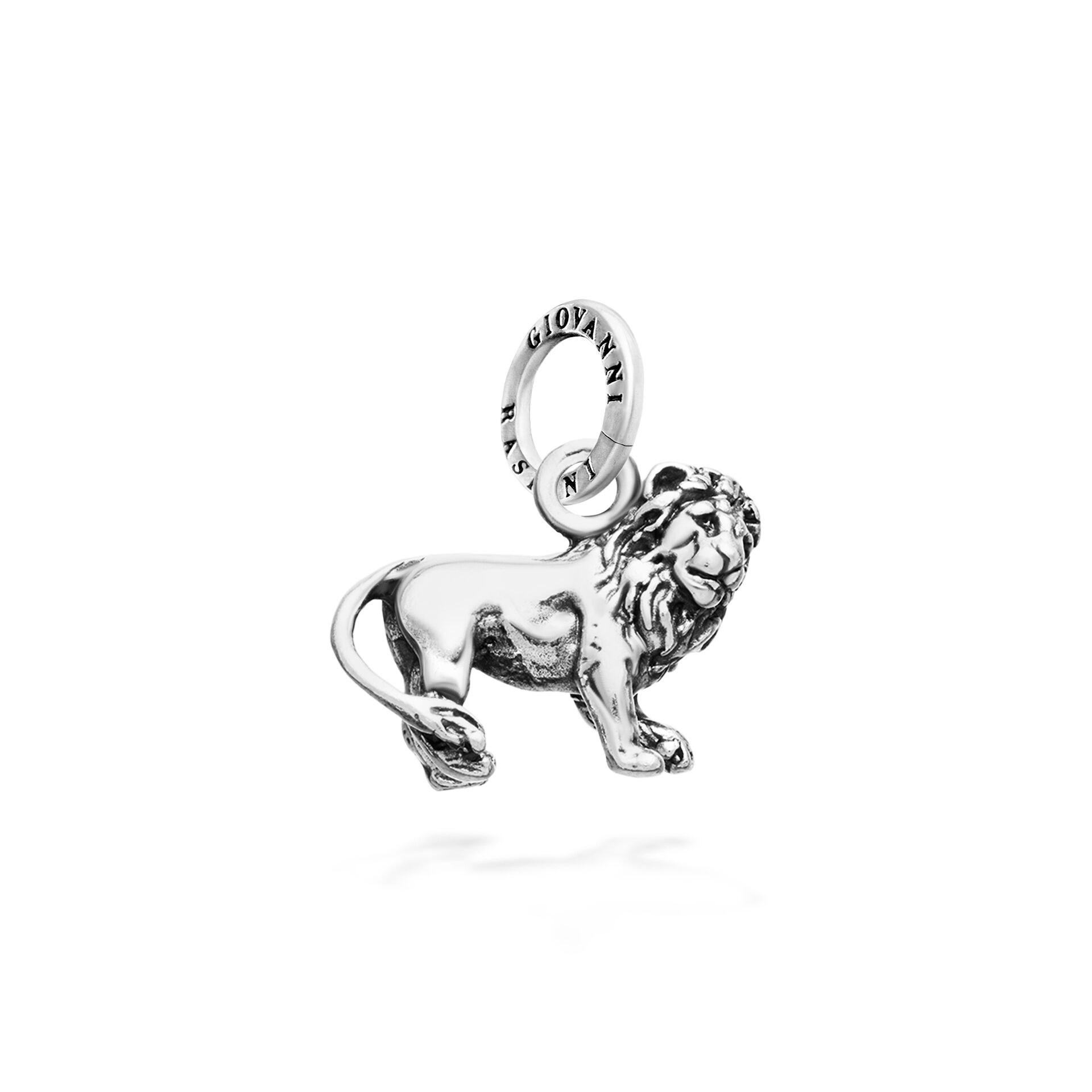 Charm Lion image number 0