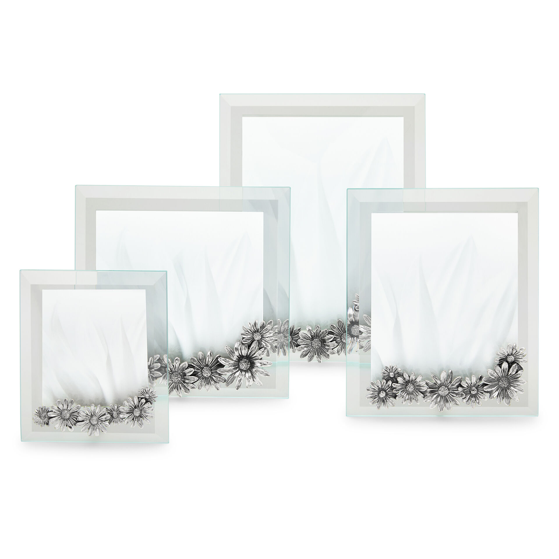 Daisies Large Light Frame image number 4