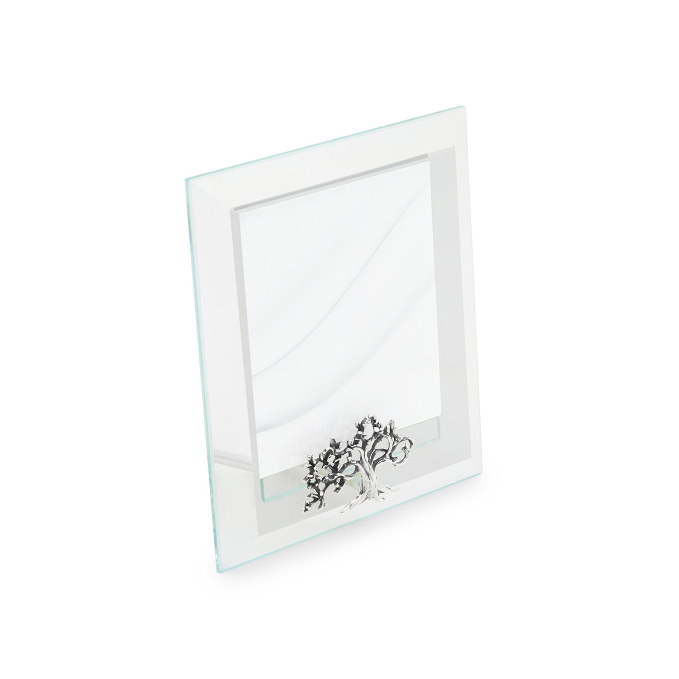 Designer silver frames