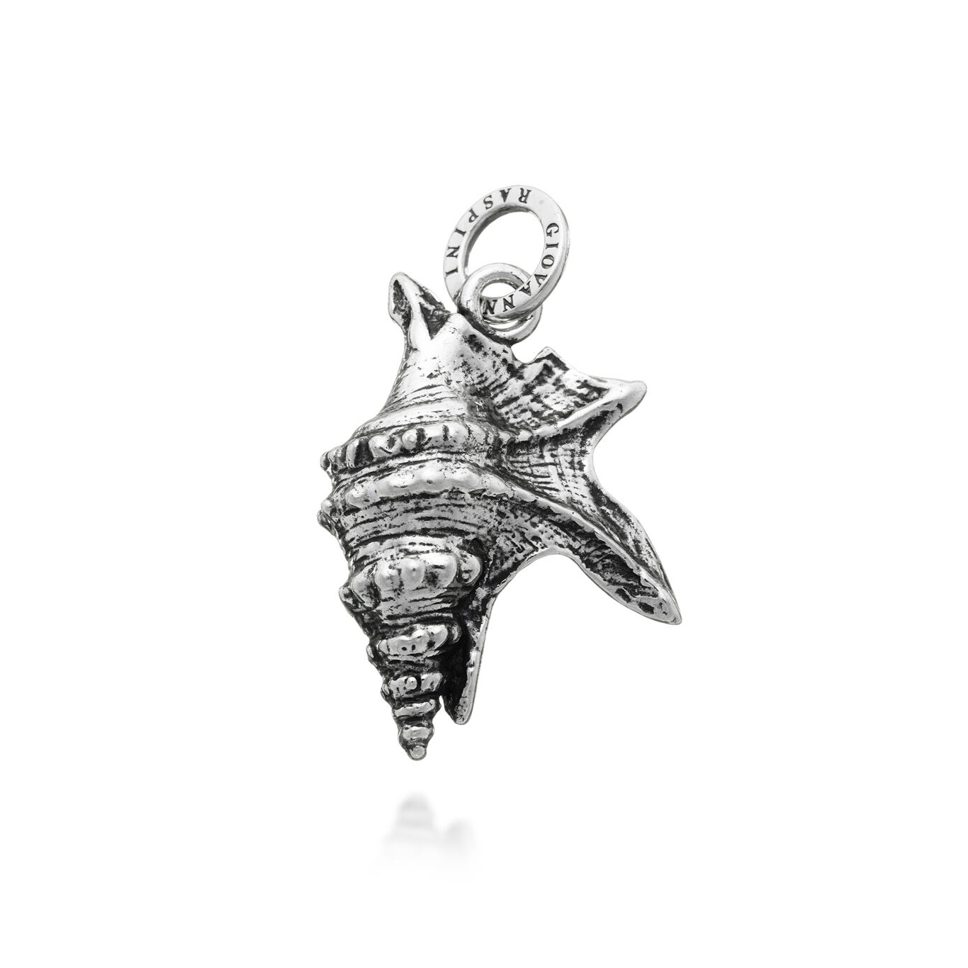 Tropical Shell Charm