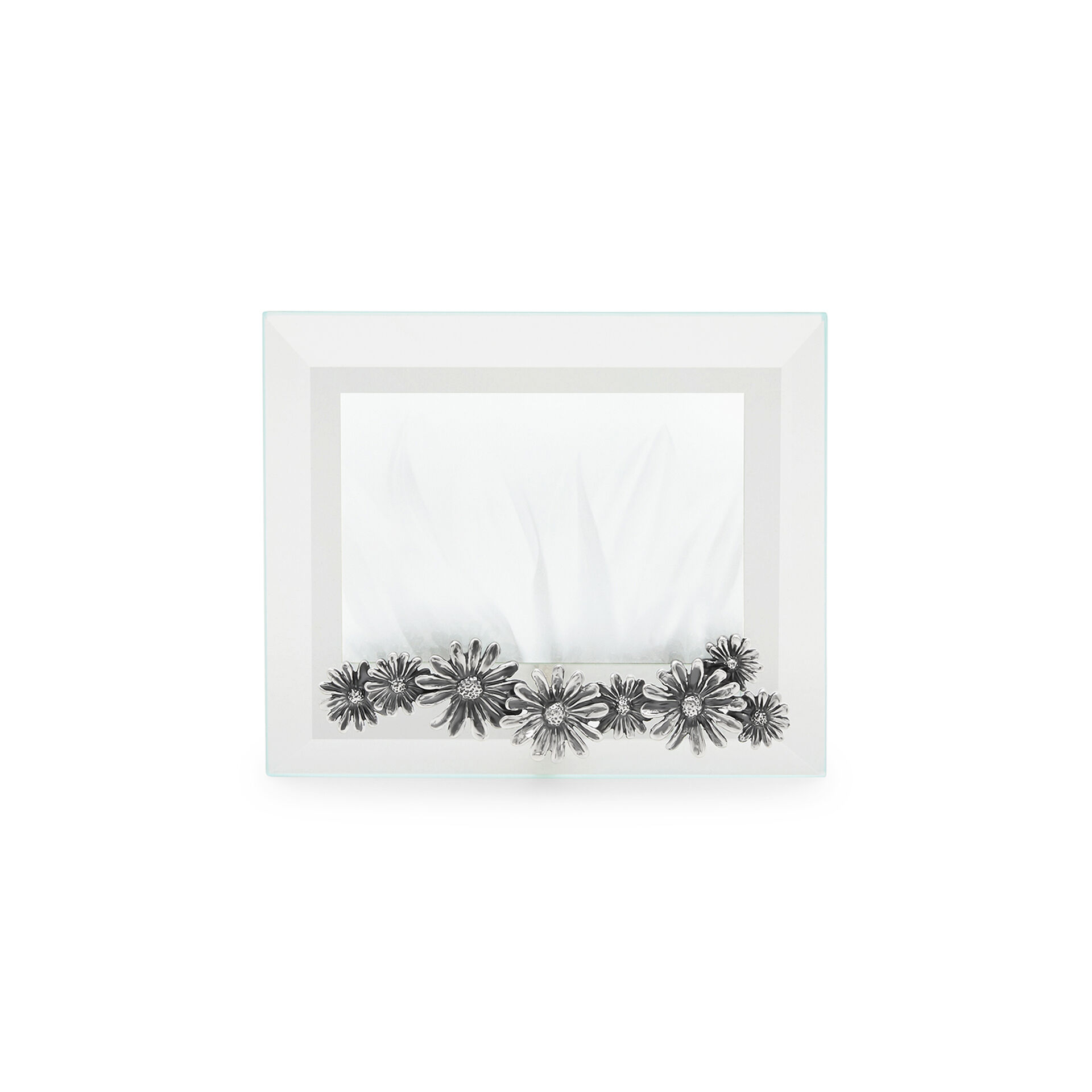 Daisies Small Horizontal Light Frame image number 0