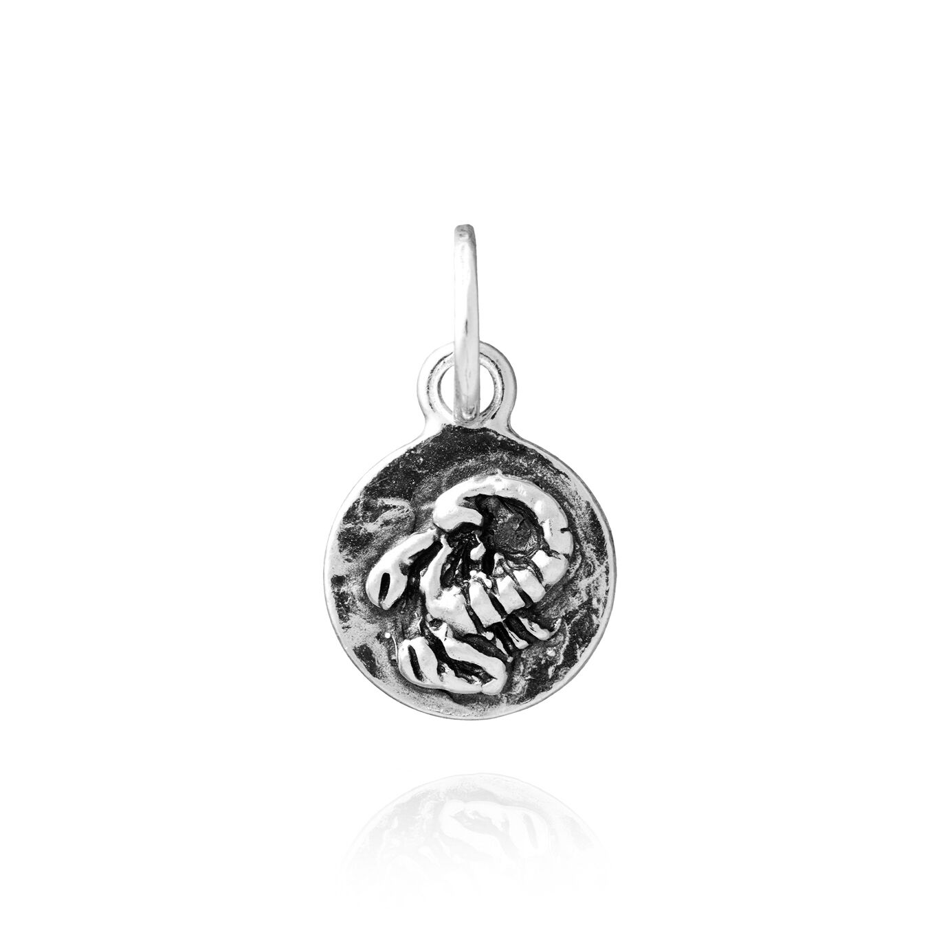 Scorpio Zodiac Charm