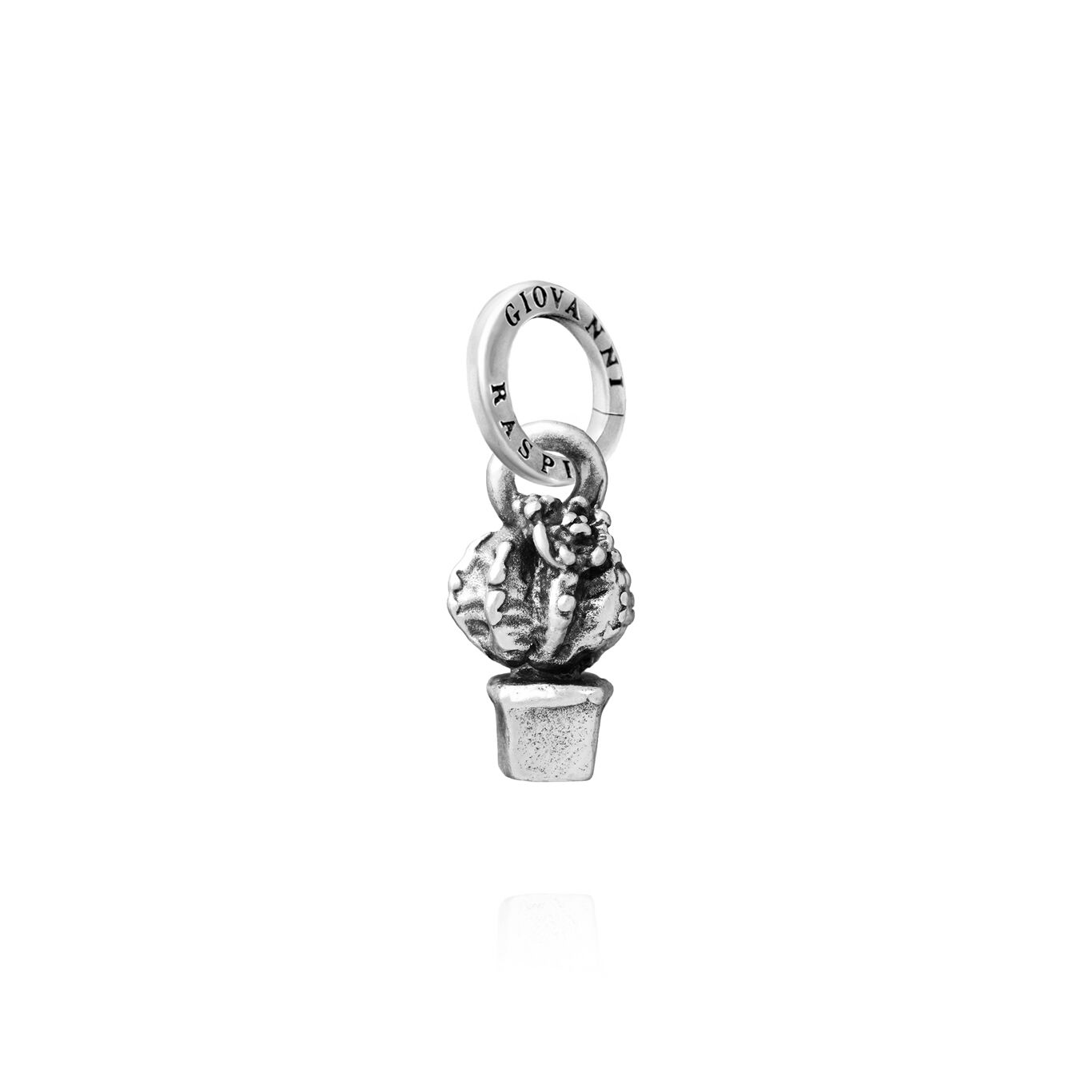 Succulent Plant Charm