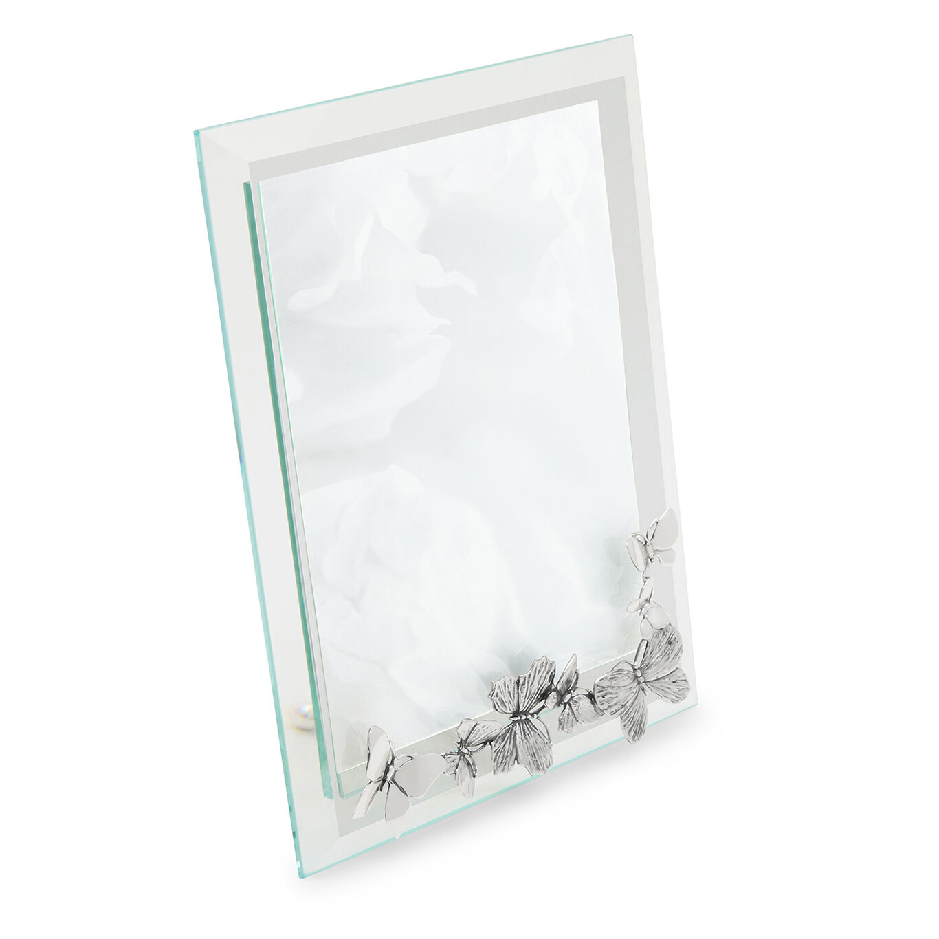 Butterflies Large Light Frame