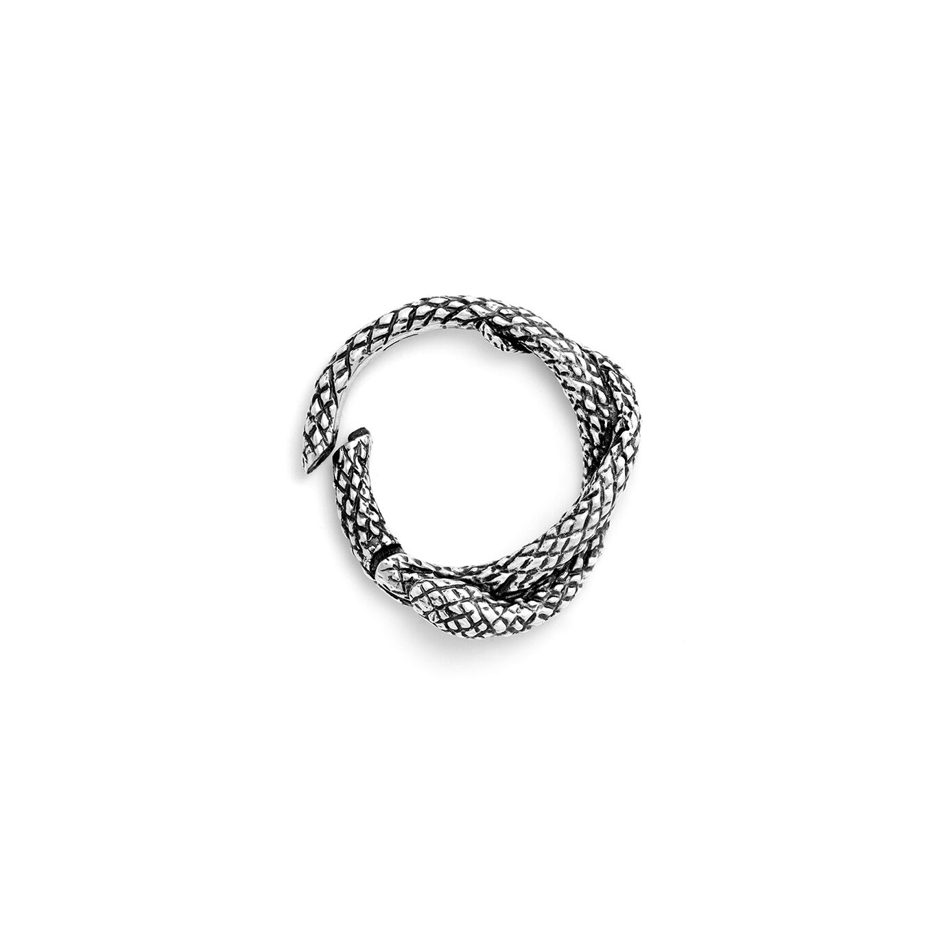 Snake Key Ring