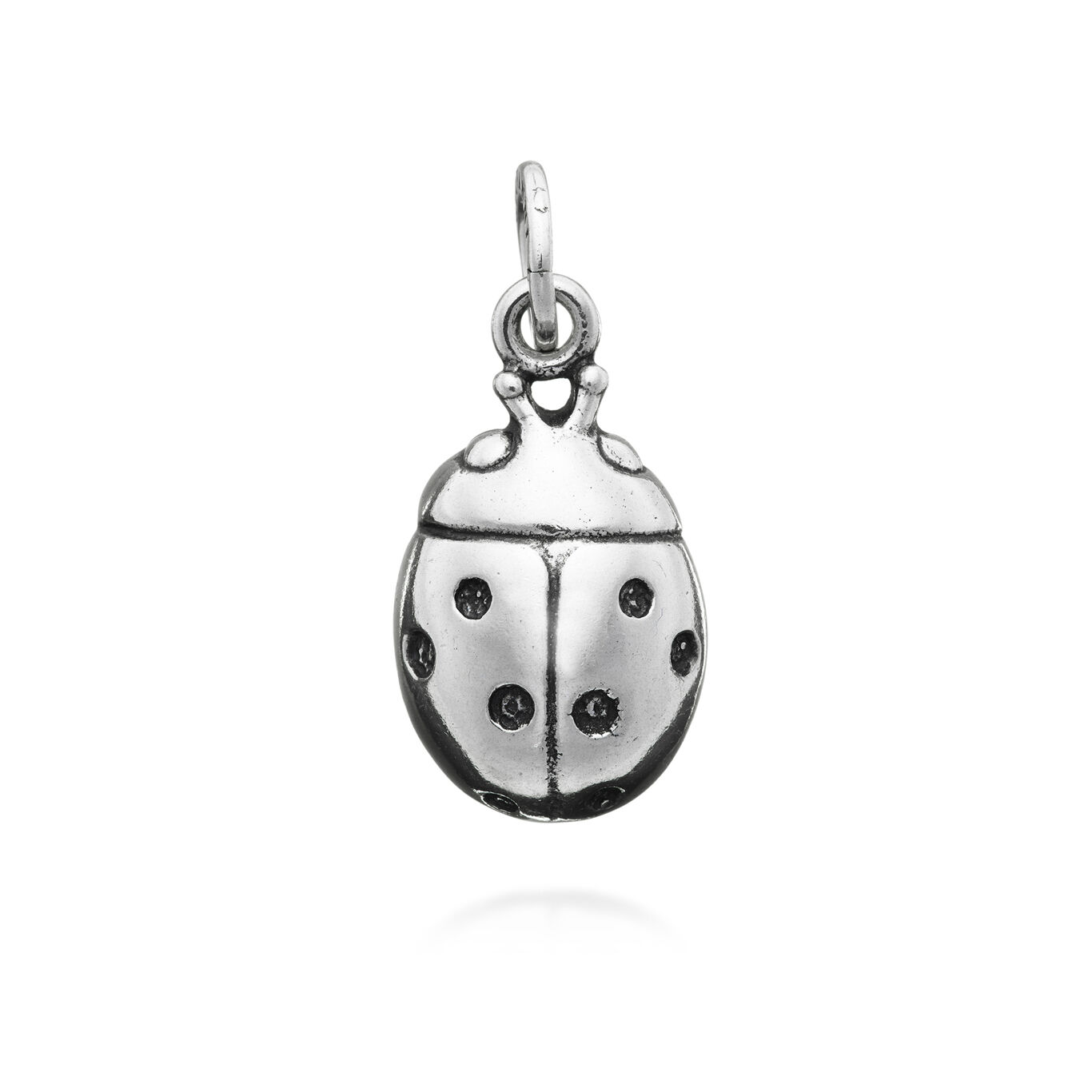 Ladybird Big Charm