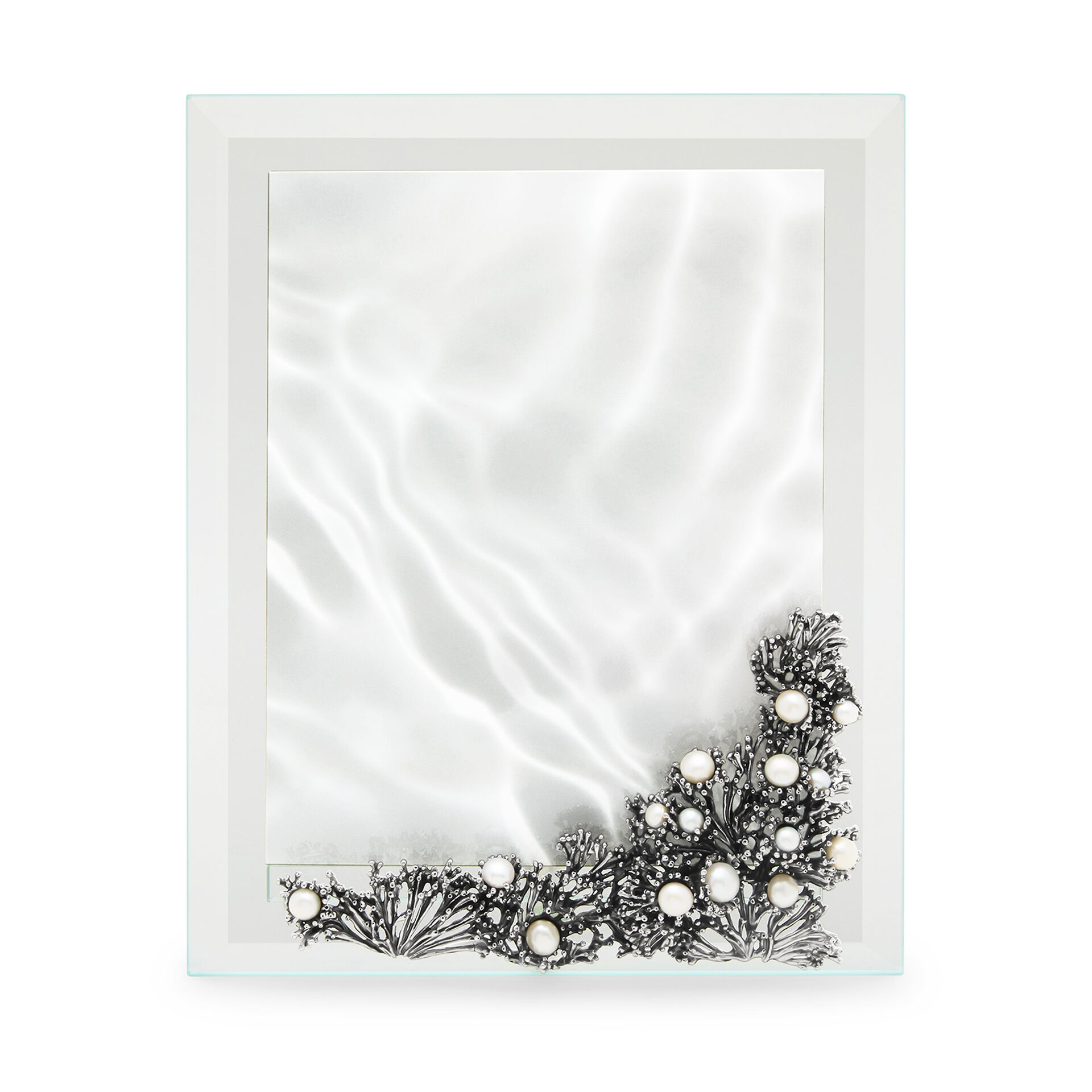 Anemone Light Frame image number 0