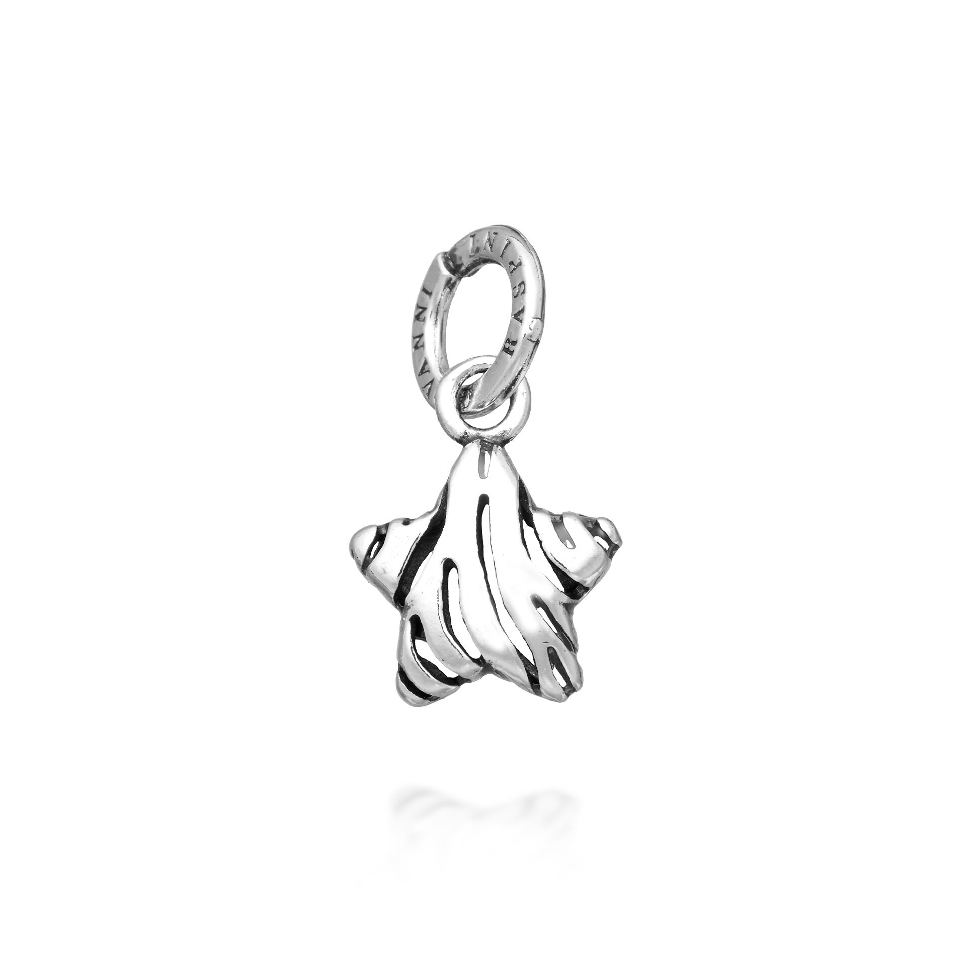 Zebra Star Charm image number 0