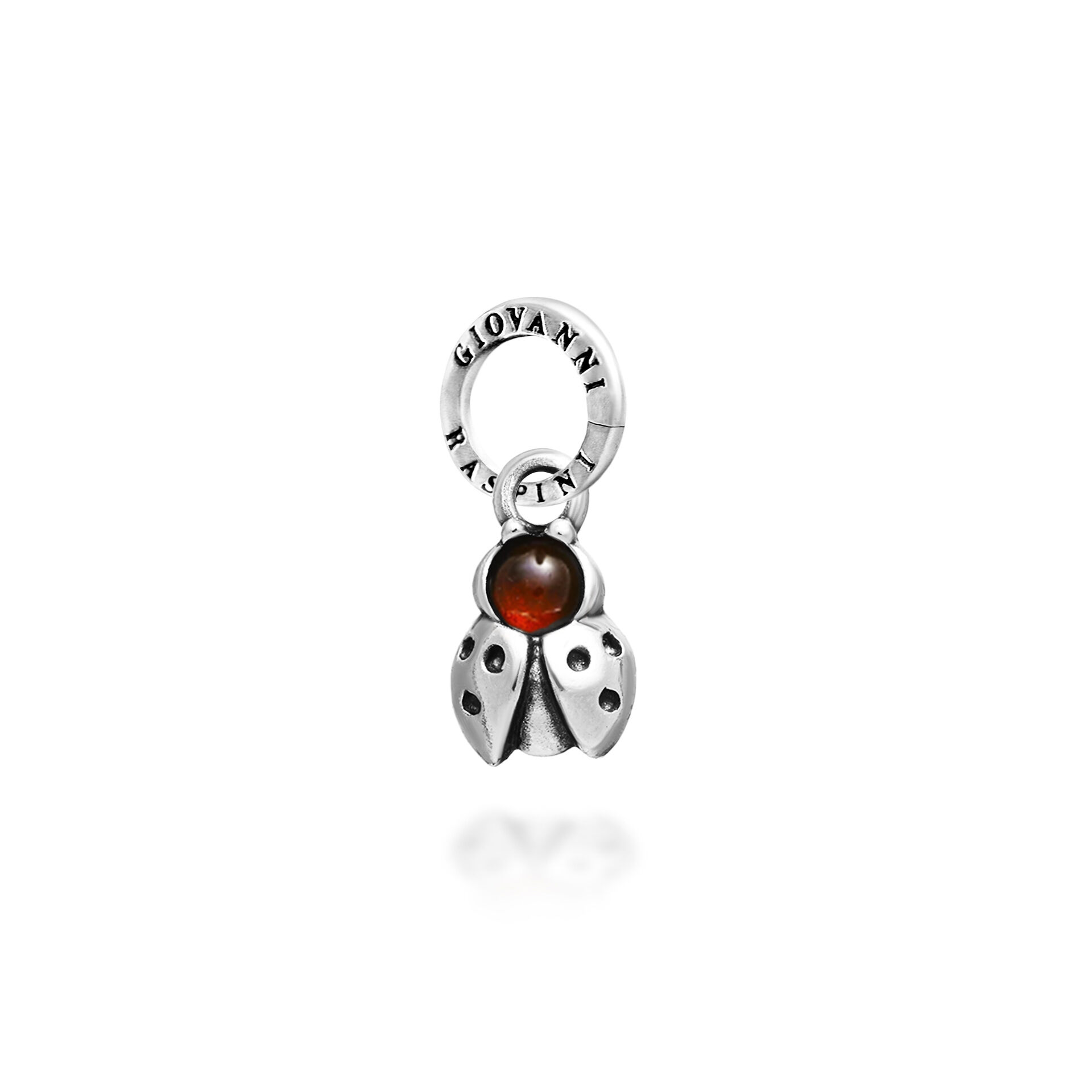 Charm Coccinella Color image number 0