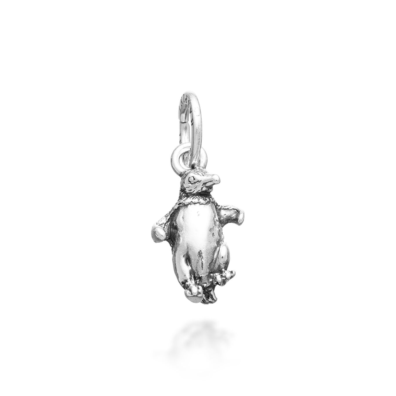 Penguin Charm