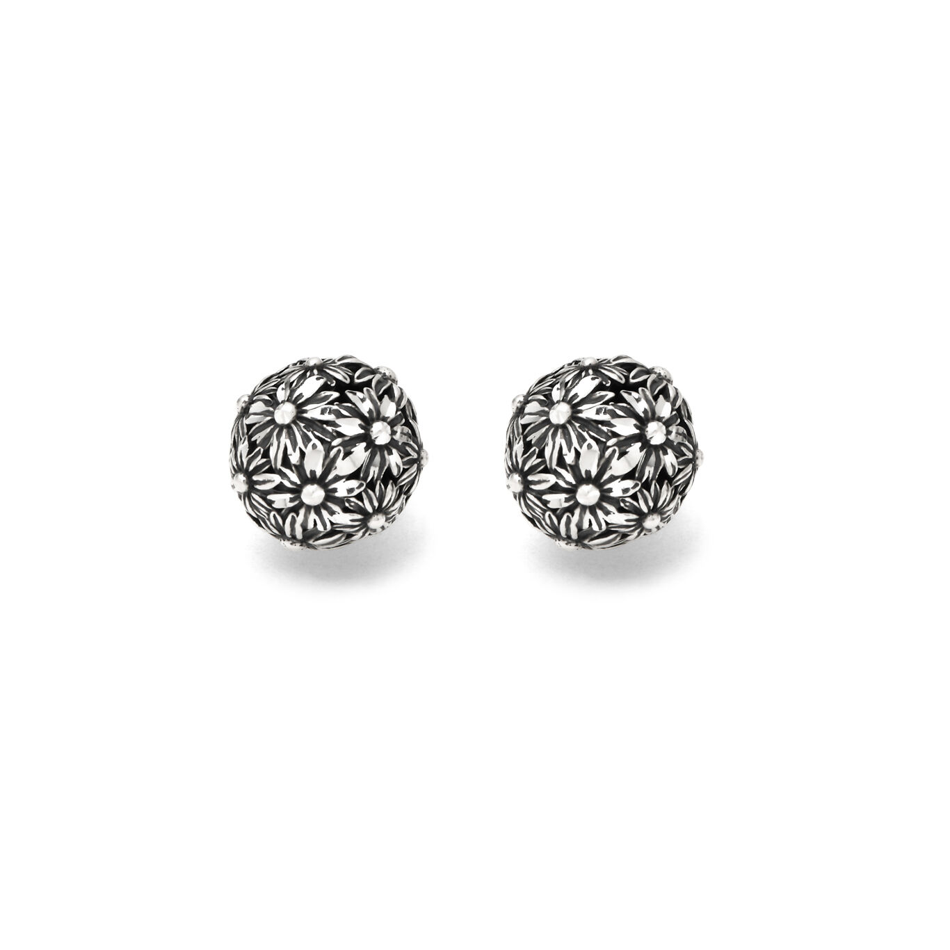 Daisies Shine Earrings