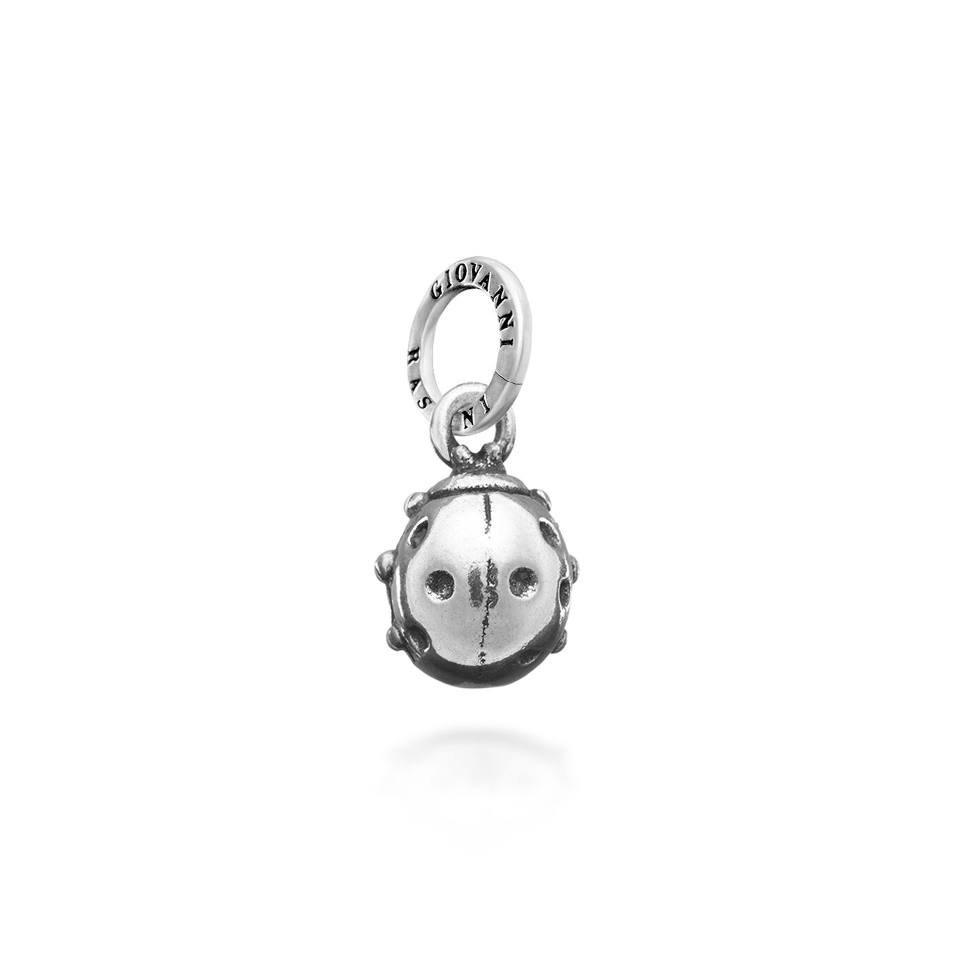Ladybug Charm