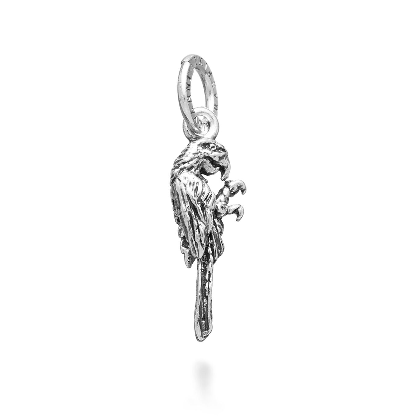 Parrot Charm