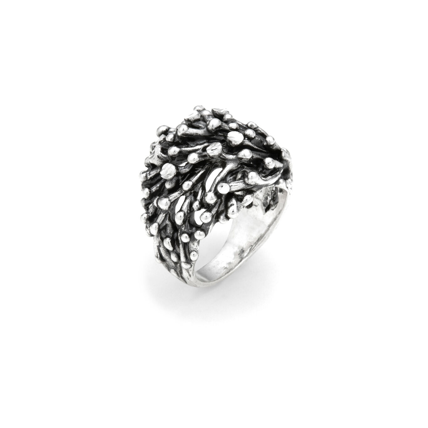 Bague S&eacute;l&eacute;n&eacute;, Grand Mod&egrave;le