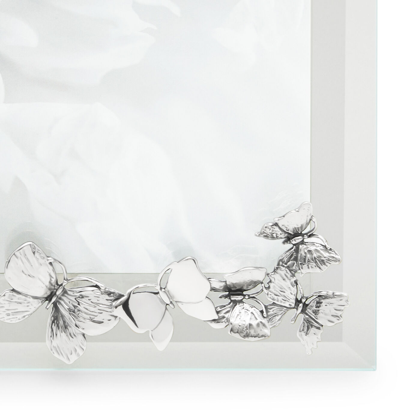 Butterflies Medium Horizontal Light Frame, Bevelled glass and silver frame_image number 3_Giovanni Raspini