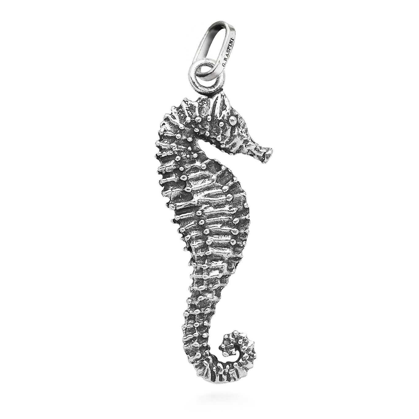 Charm Caballito de Mar Grande