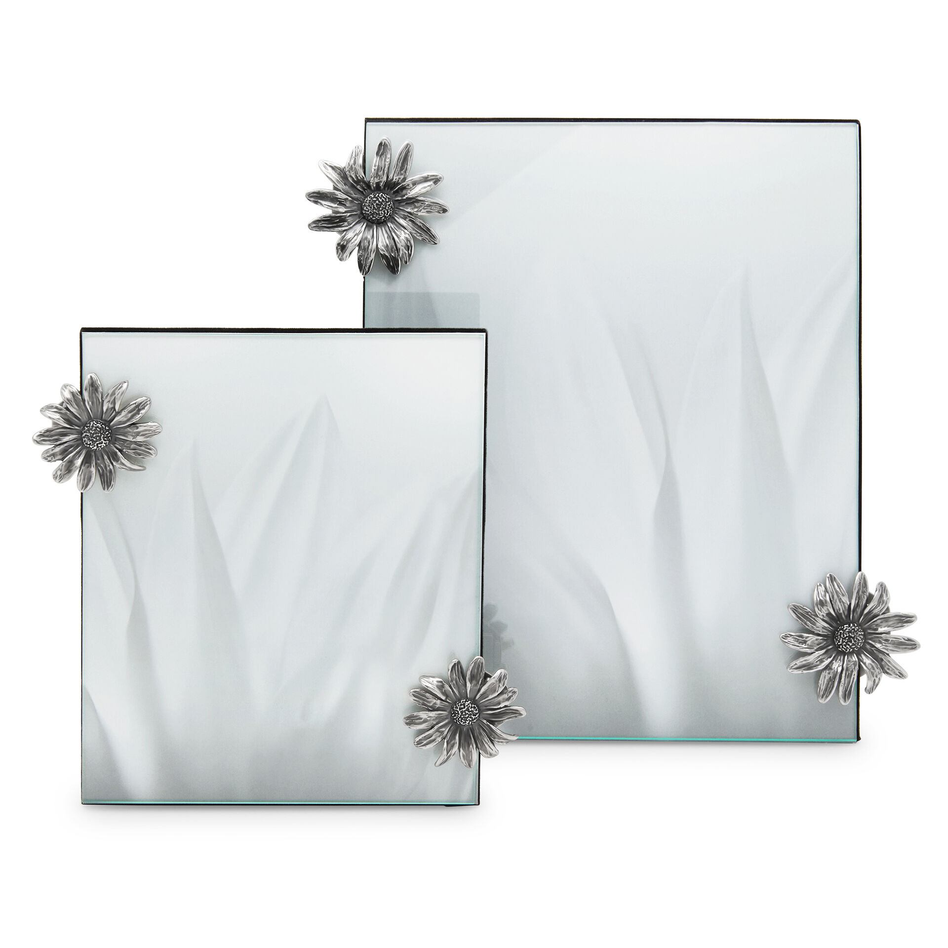 Daisies Large Clip Frame image number 2
