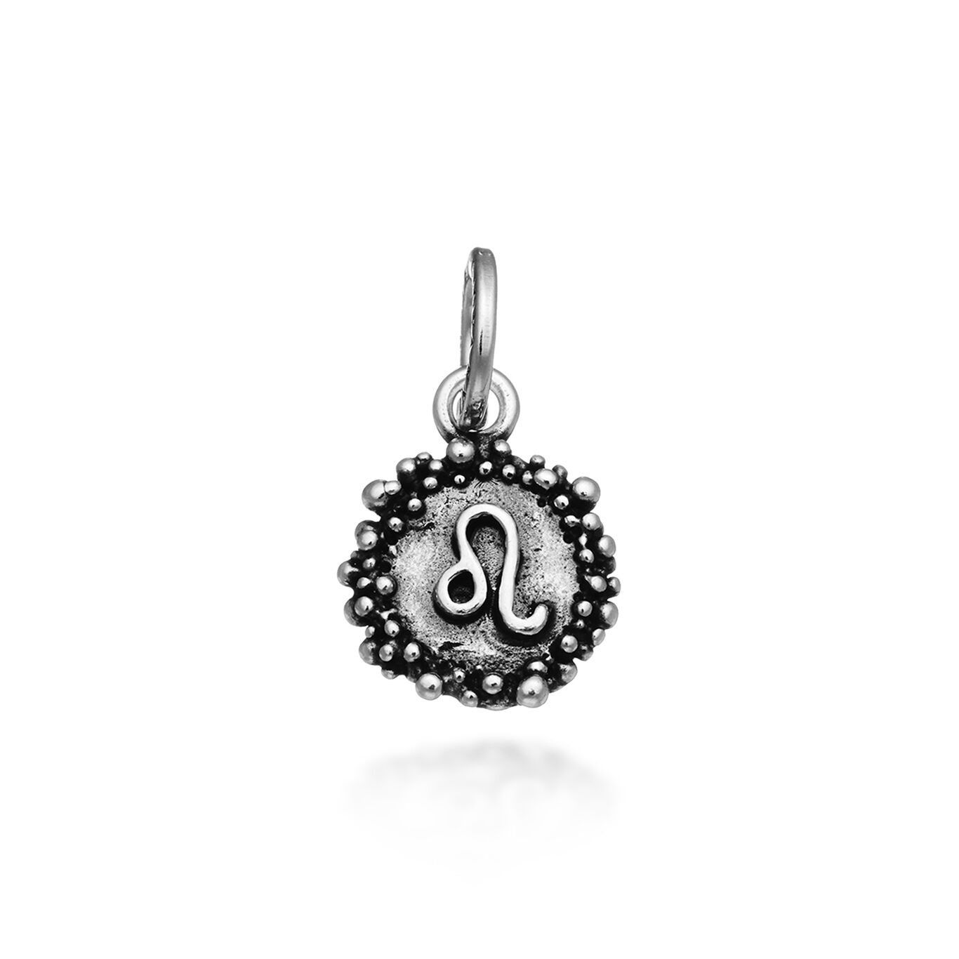 Leo Medal Charm