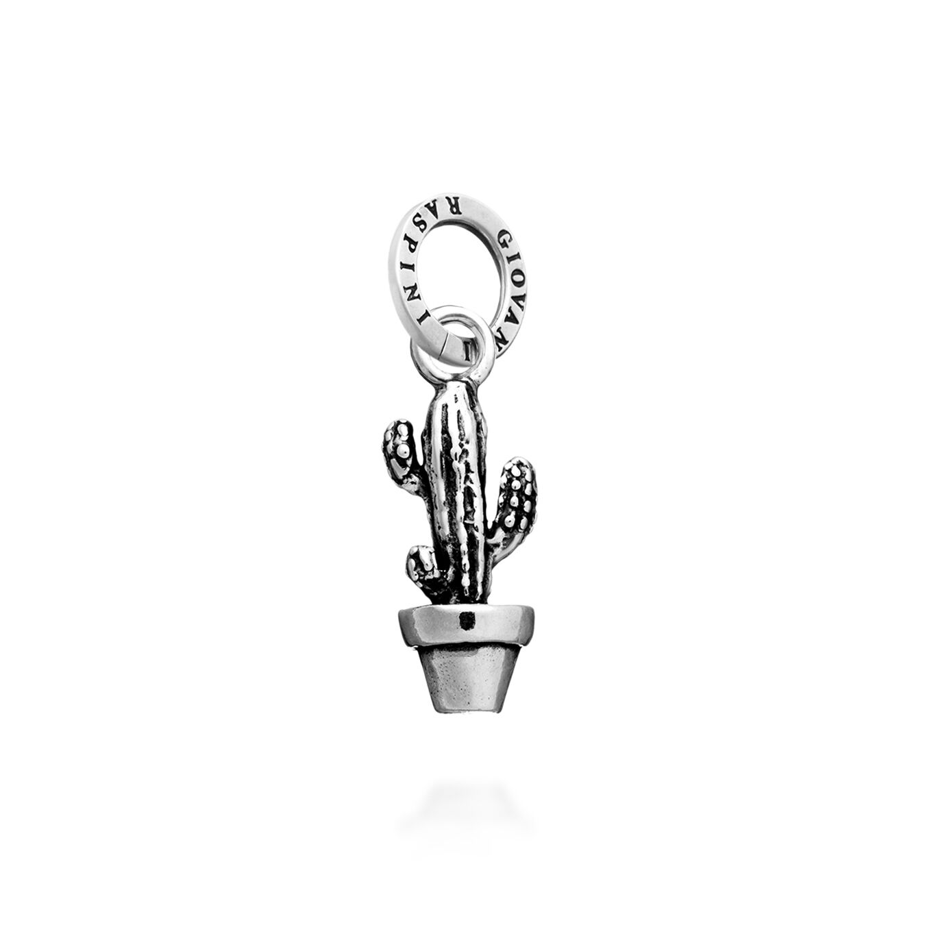 Charm Cactus