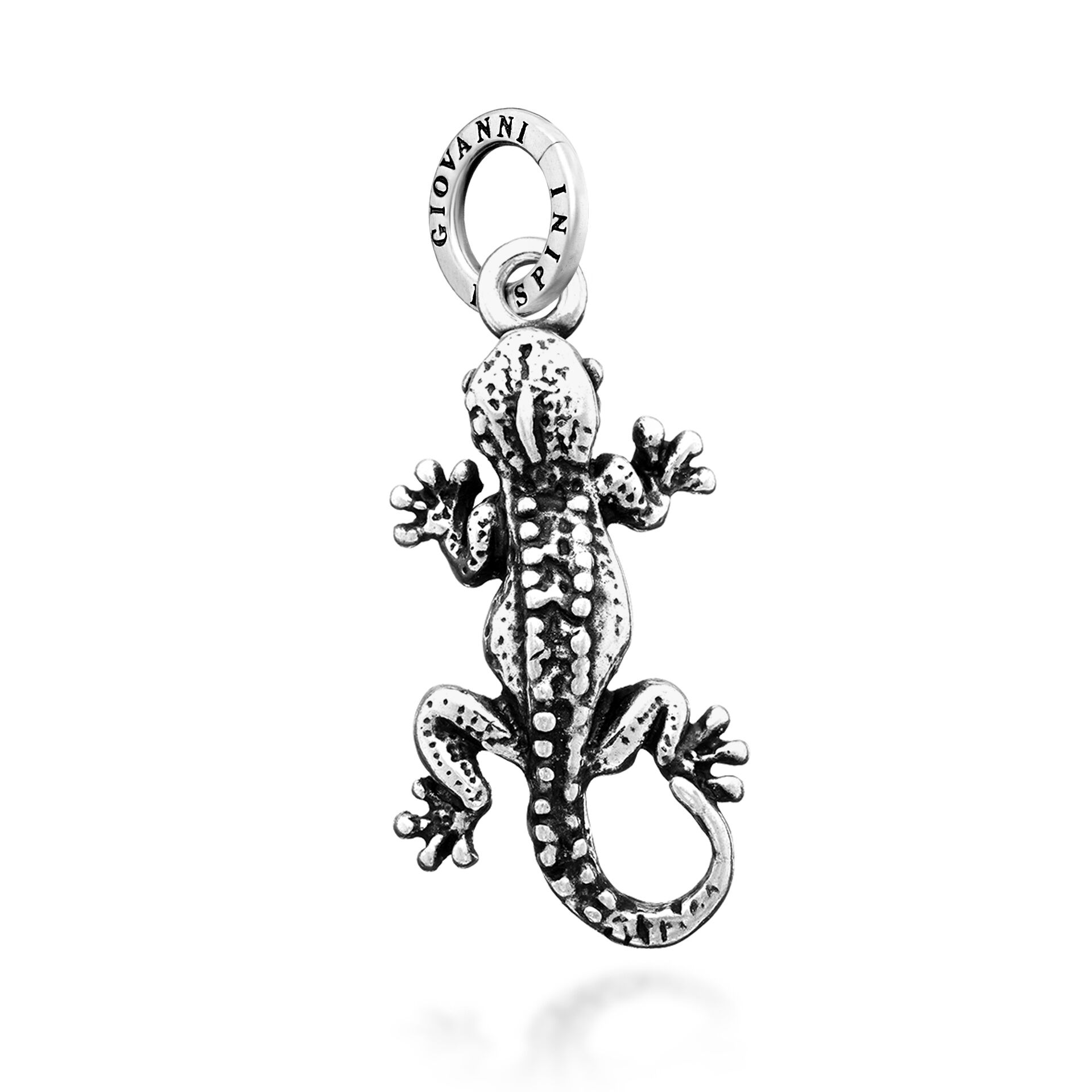 Charm Gecko image number 0