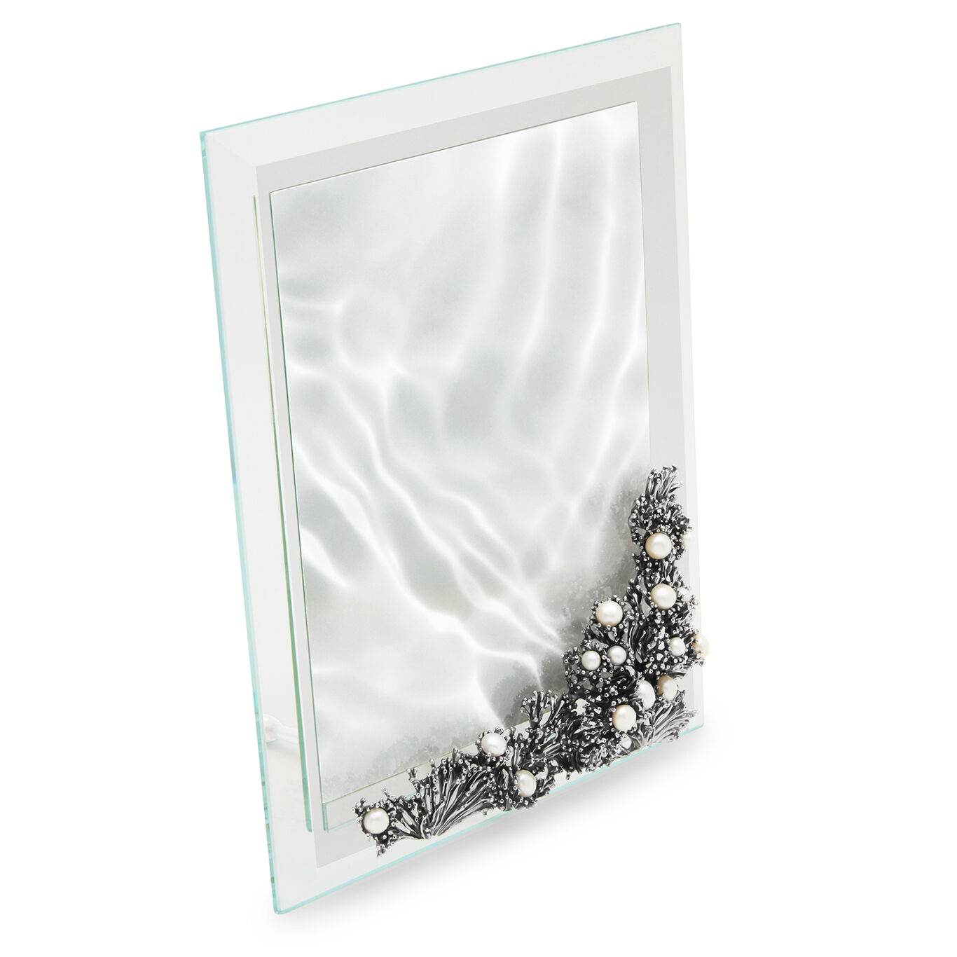 Anemone Light Frame