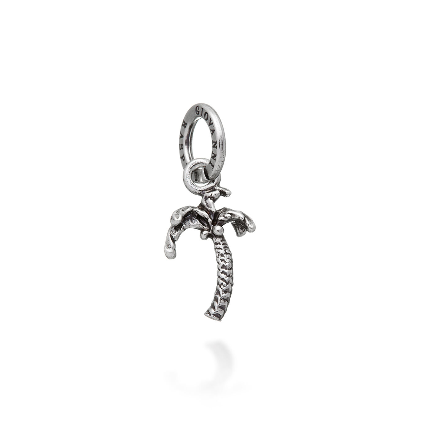 Charm Palmera