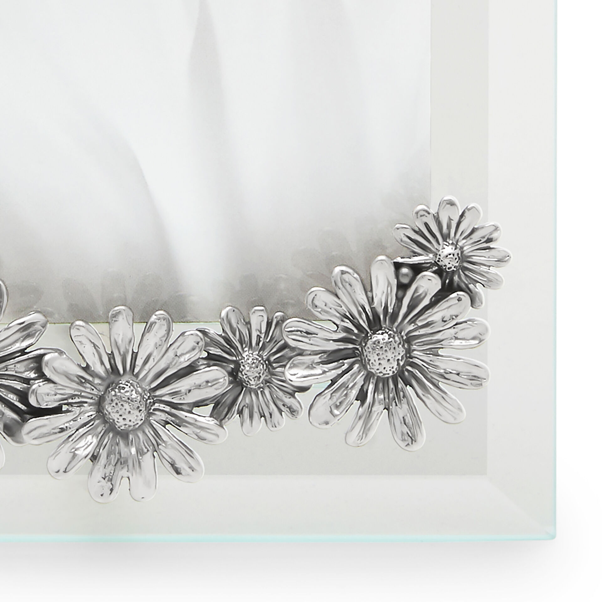 Daisies Small Light Frame image number 3