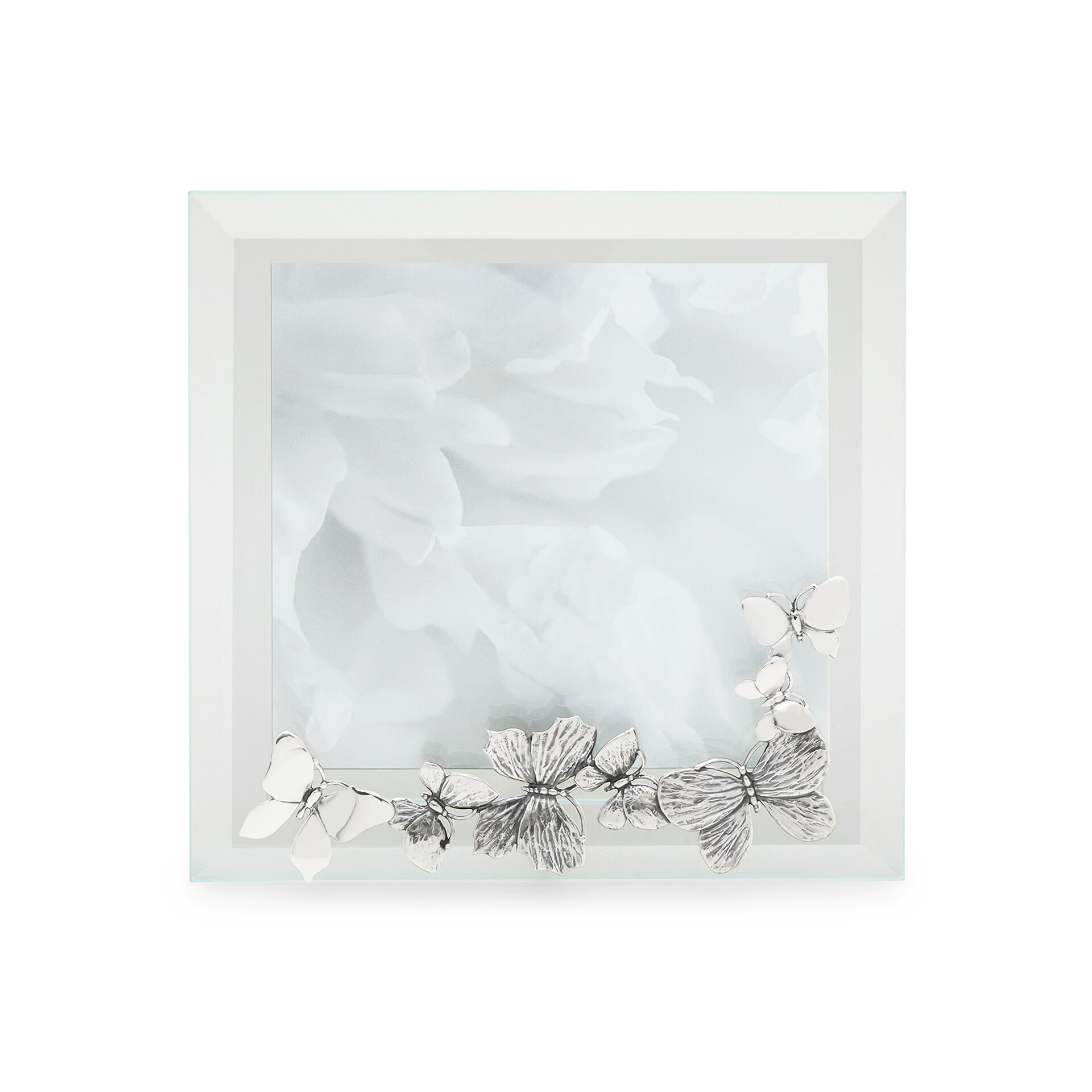 Butterflies Light Frame image number 0