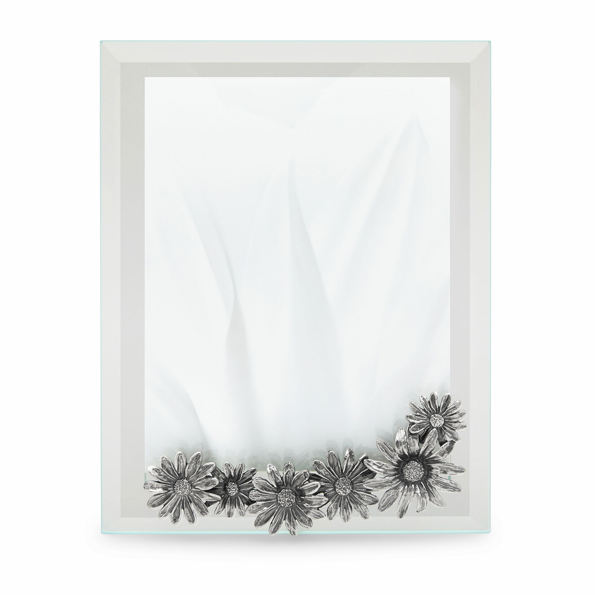 Daisies Large Light Frame image number 0