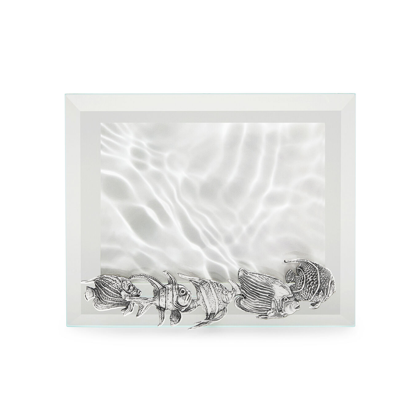 Cornice Luce Pesci Orizzontale Media
