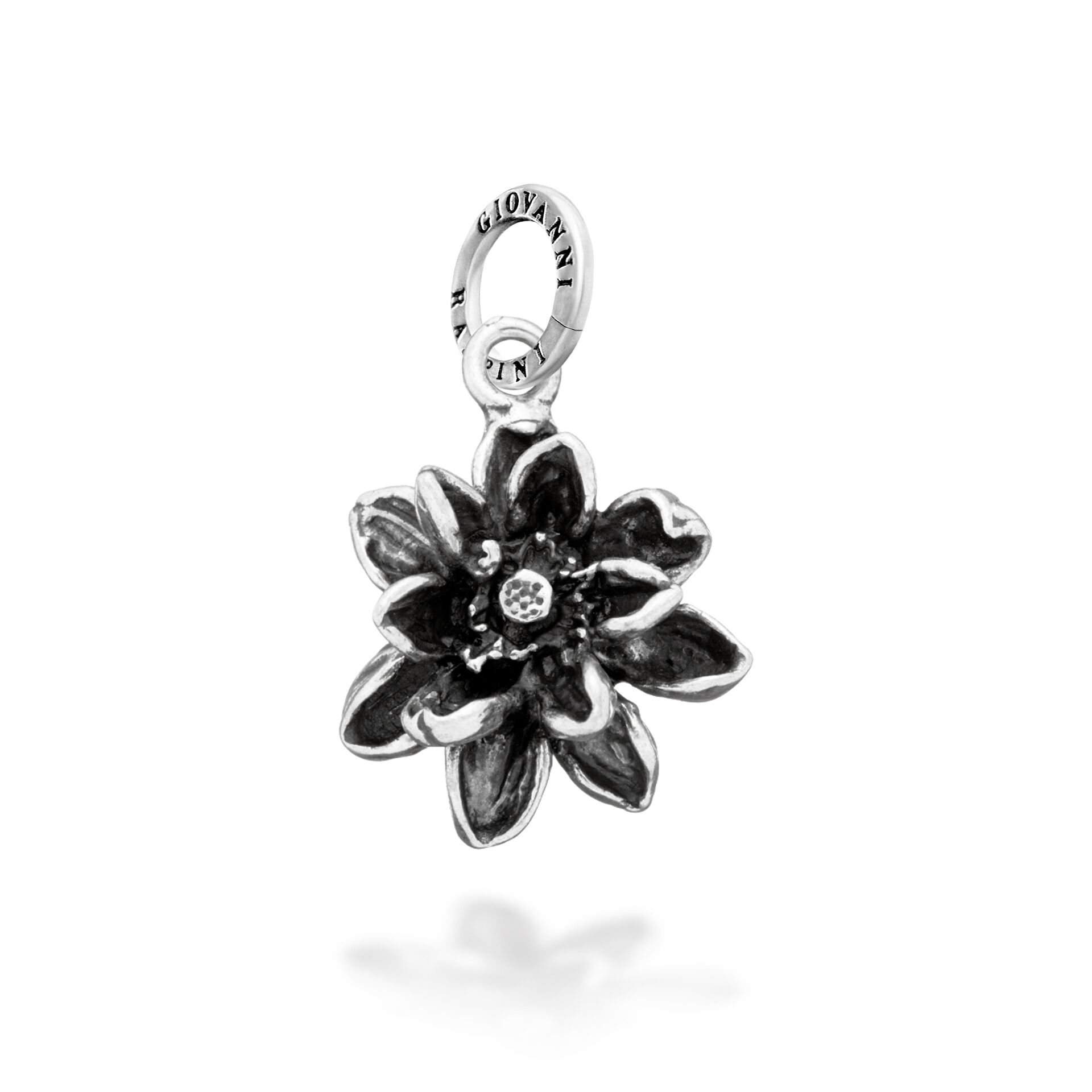 Charm Lotusbl&uuml;te image number 0