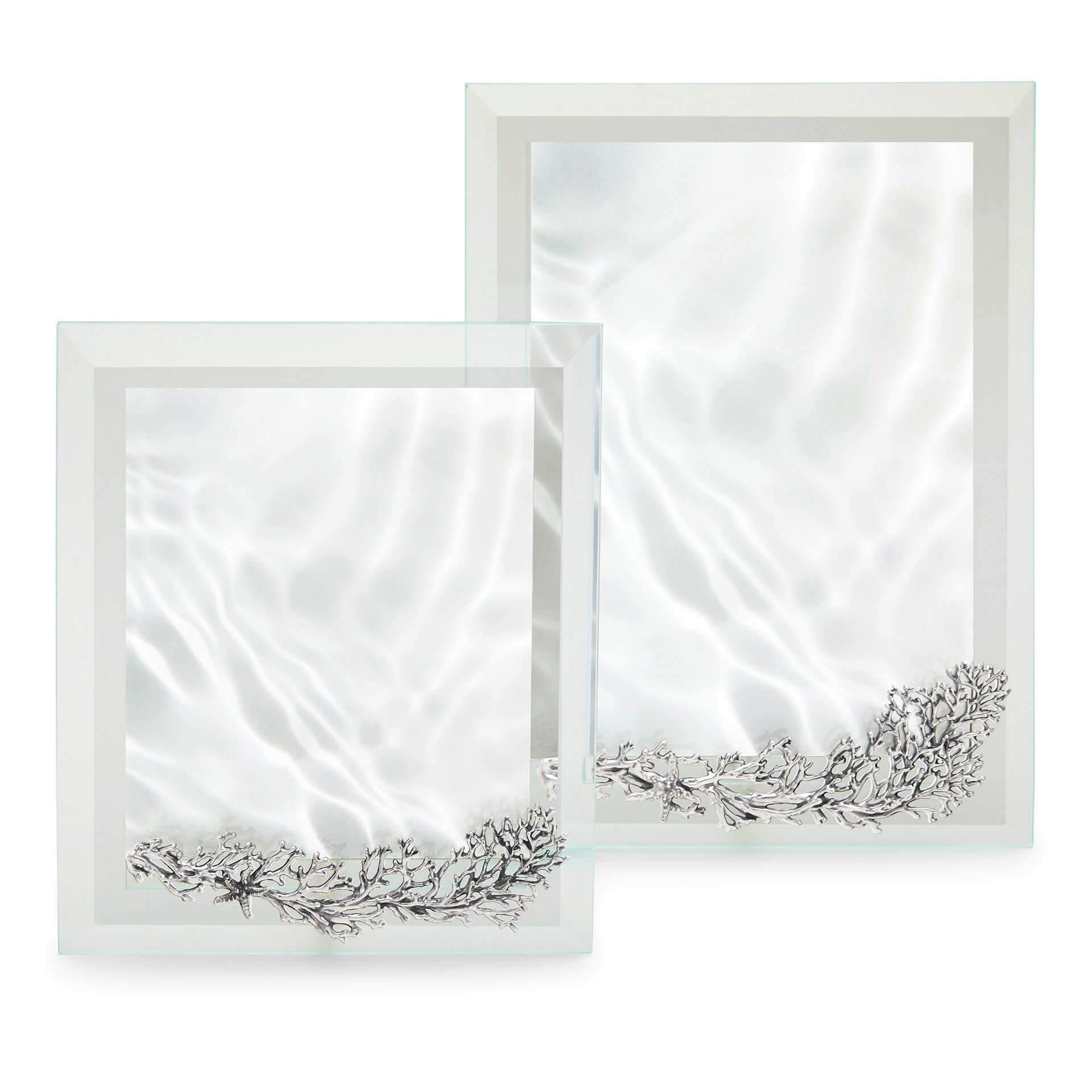 Seaworld Medium Light Frame image number 4